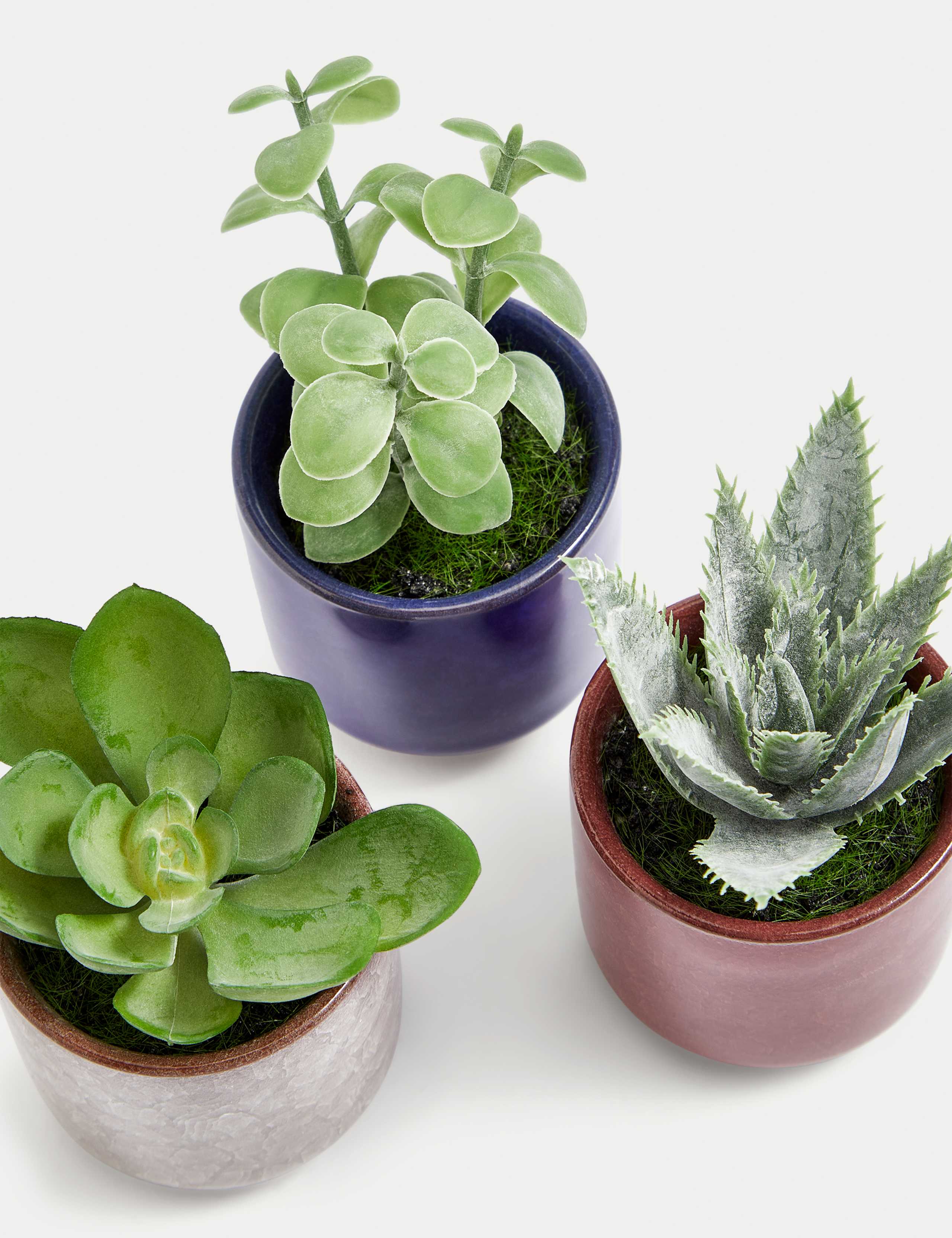 Set of 3 Artificial Mini Succulents in Pots 3 of 5