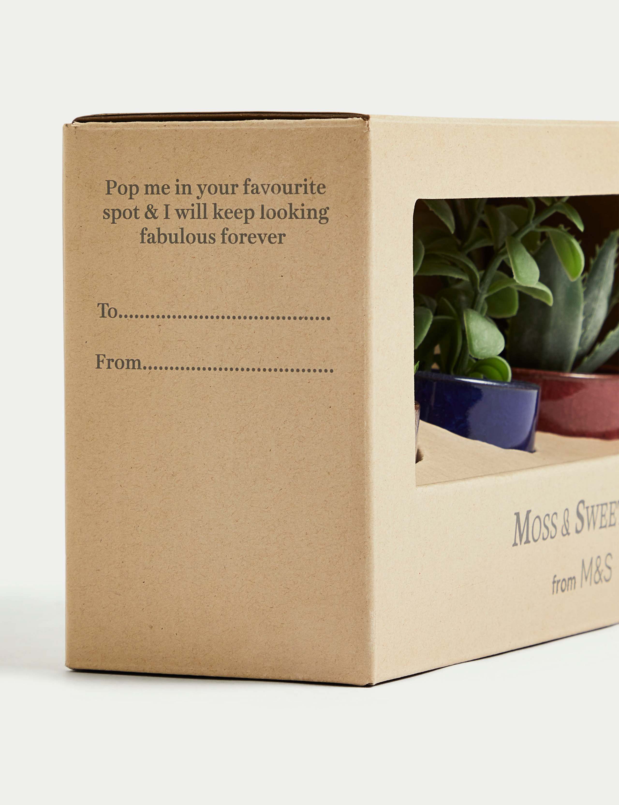 Set of 3 Artificial Mini Succulents in Pots 5 of 5