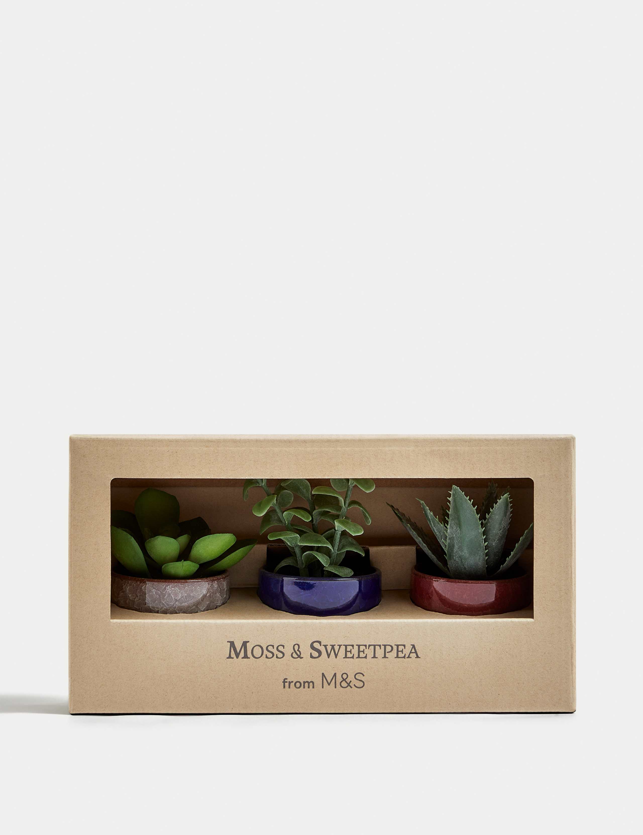 Set of 3 Artificial Mini Succulents in Pots 2 of 5