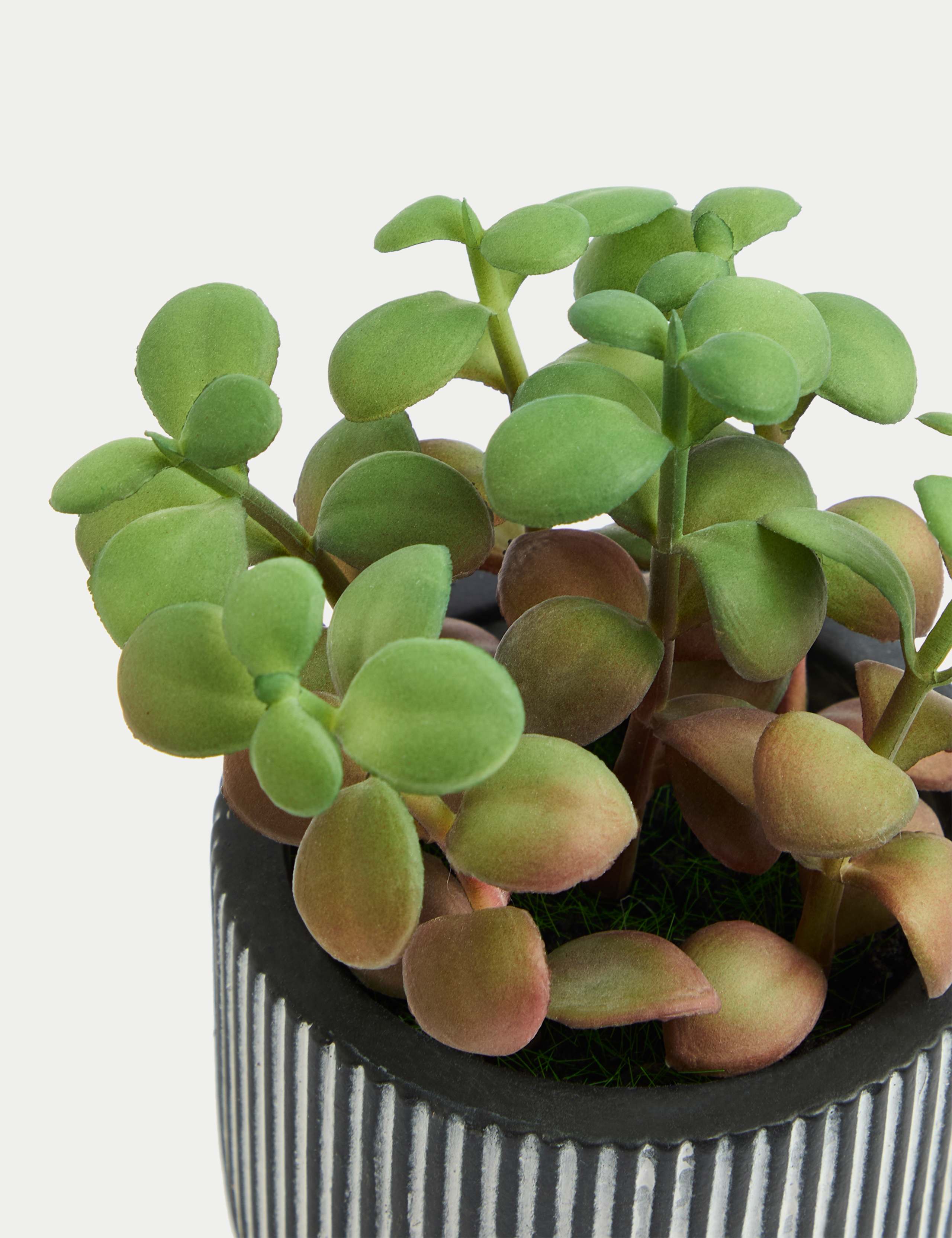 Artificial Mini Succulent Plant 2 of 3