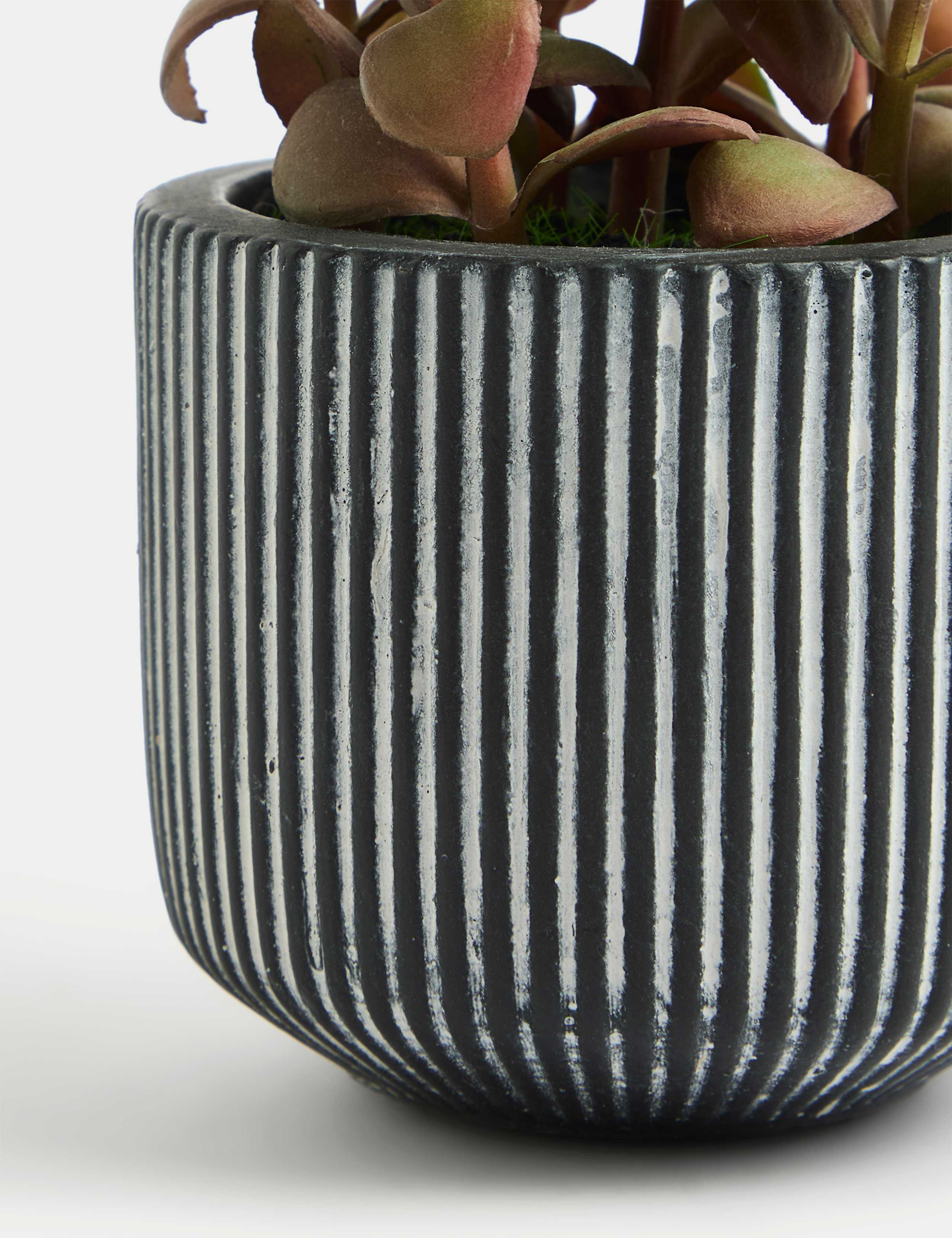 Artificial Mini Succulent Plant 3 of 3