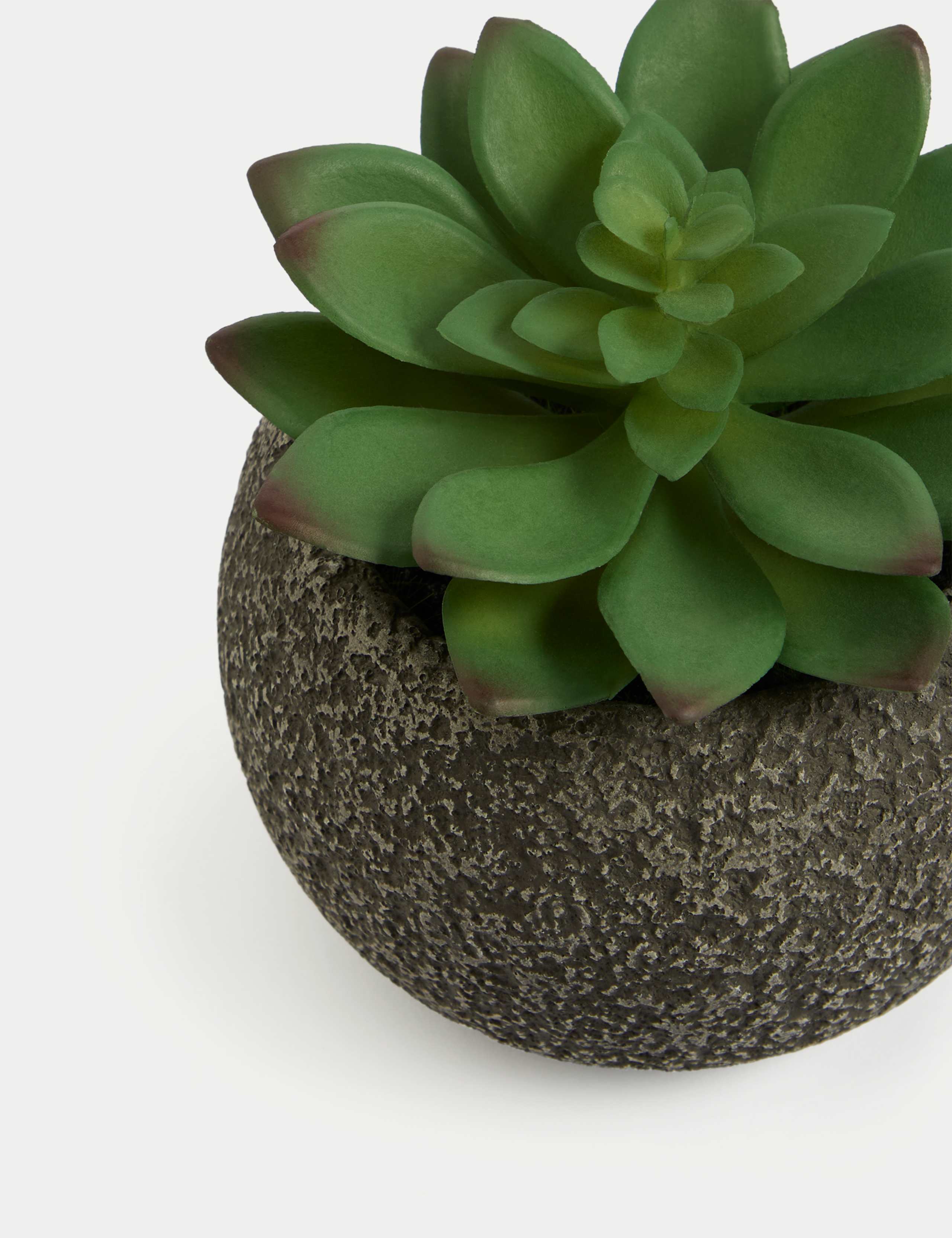 Artificial Mini Succulent in Concrete Pot 2 of 3