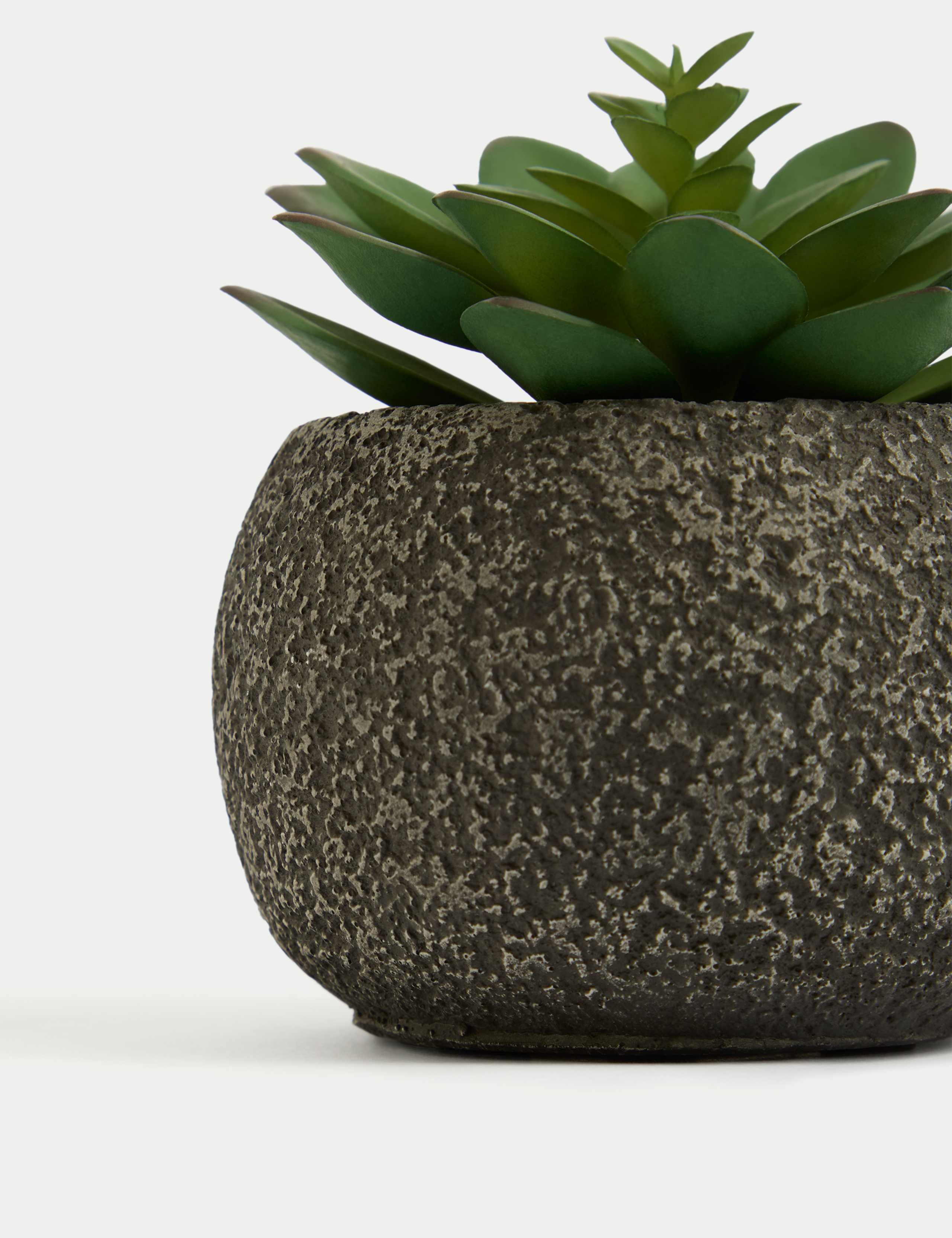 Artificial Mini Succulent in Concrete Pot 3 of 3