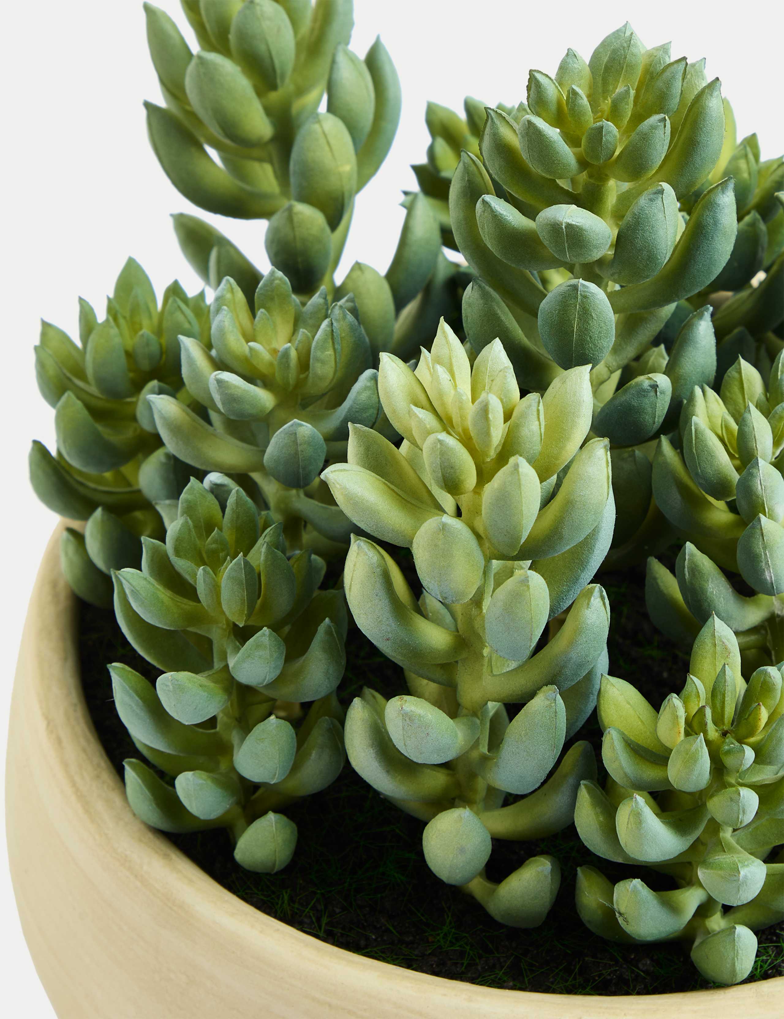 Artificial Succulents in Cement Pot 2 of 3