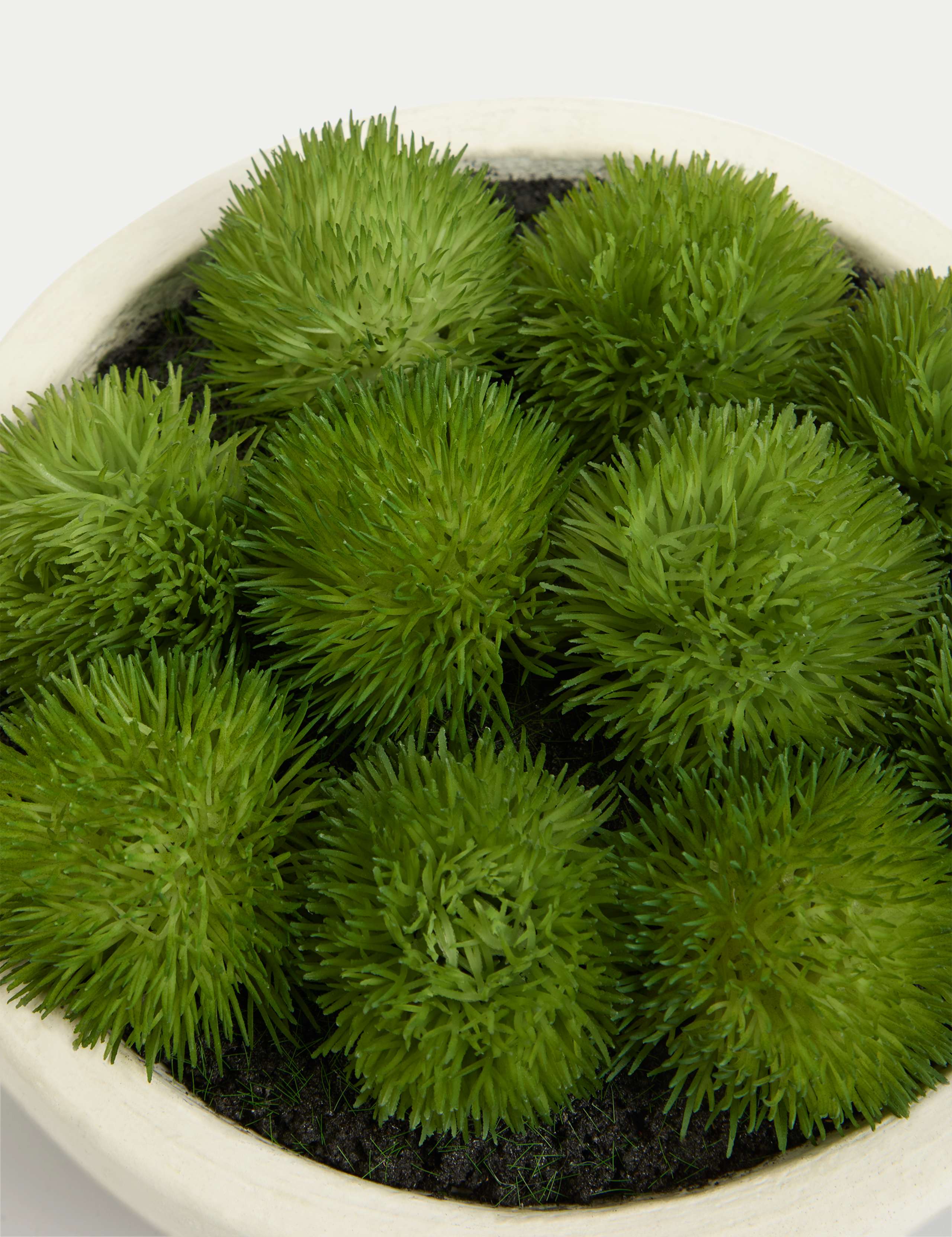 Artificial Moss in Concrete Bowl 2 of 3