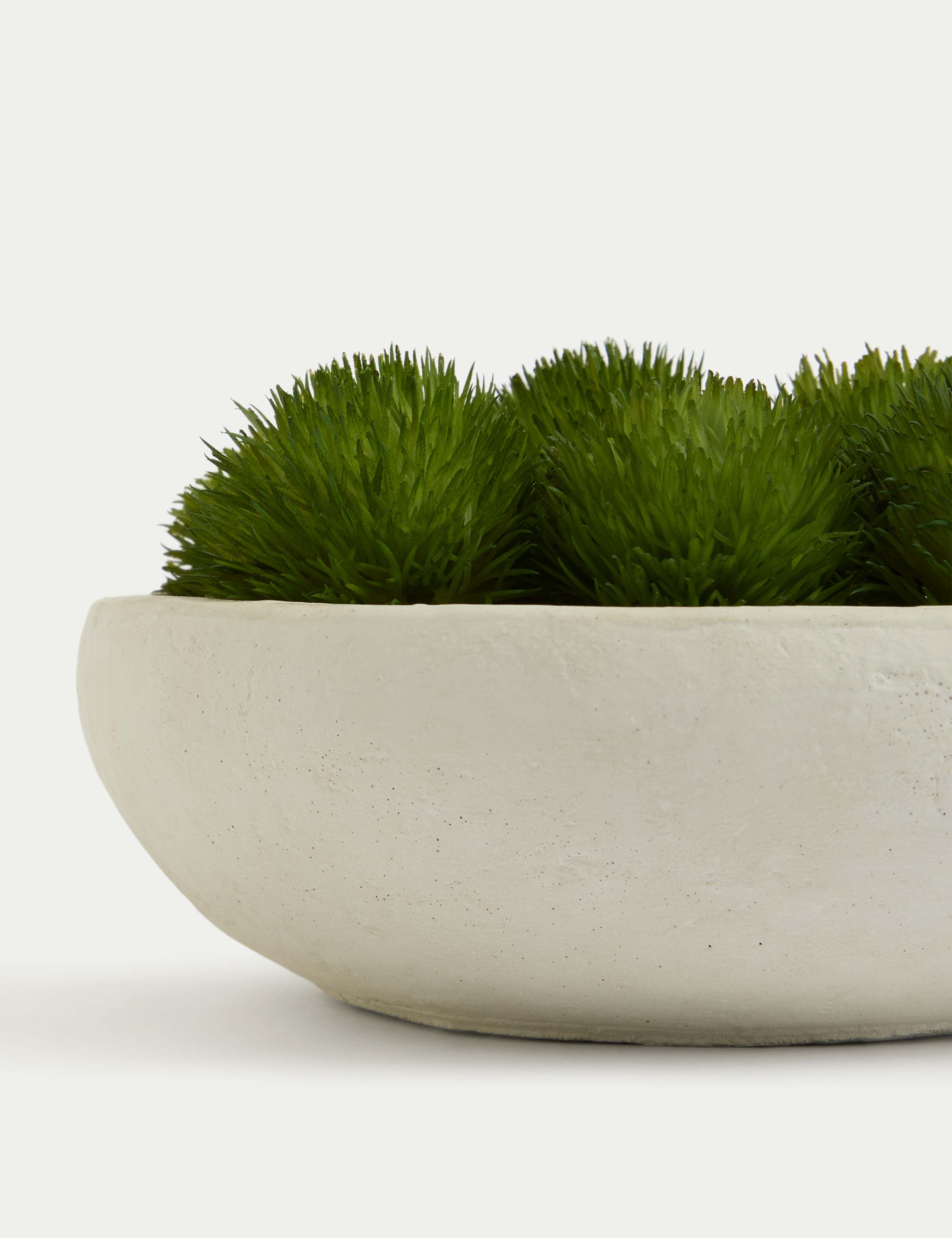 Artificial Moss in Concrete Bowl 3 of 3