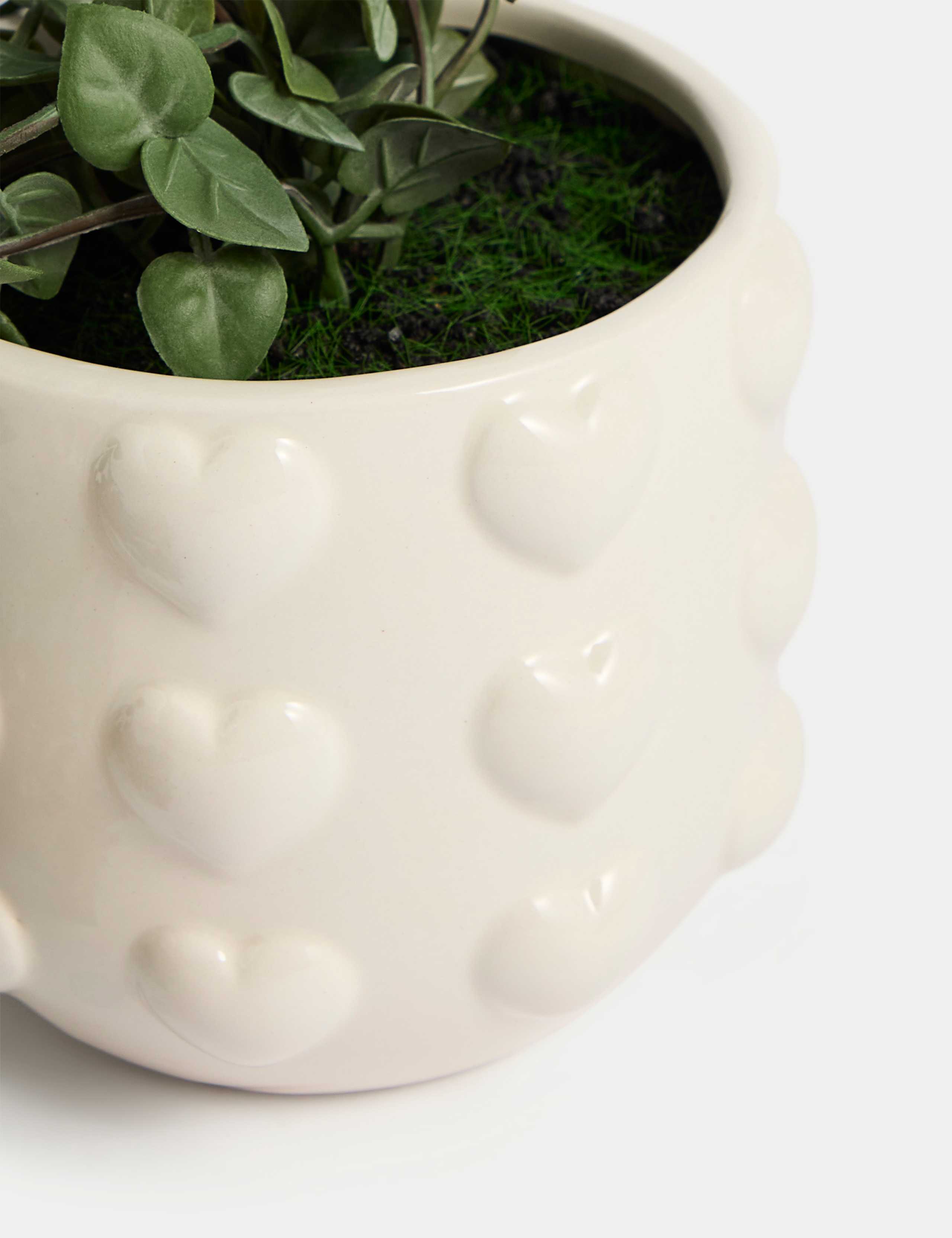 Artificial String of Hearts in Ceramic Pot 2 of 3