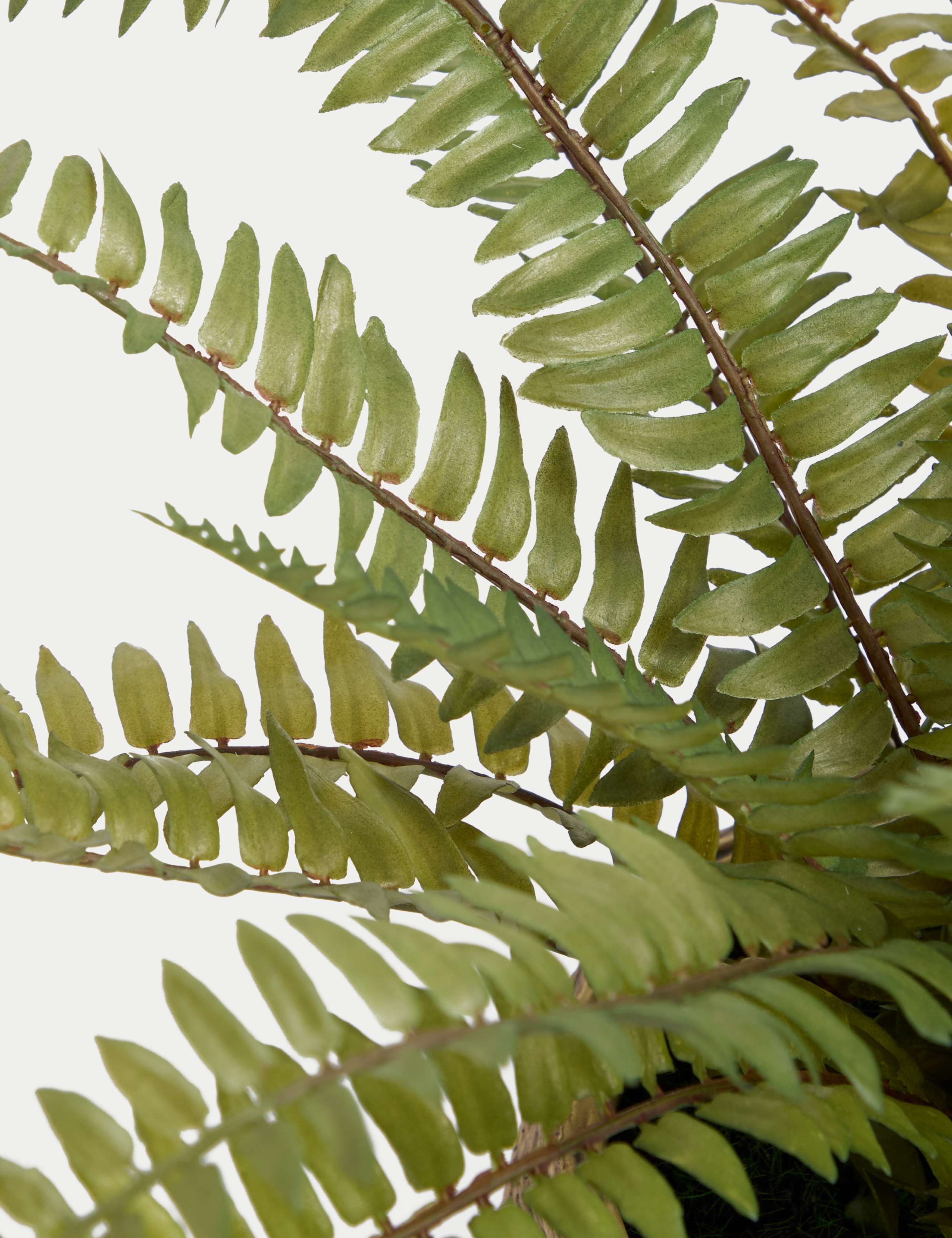 Artificial Fern Plant In Pot 3 of 3