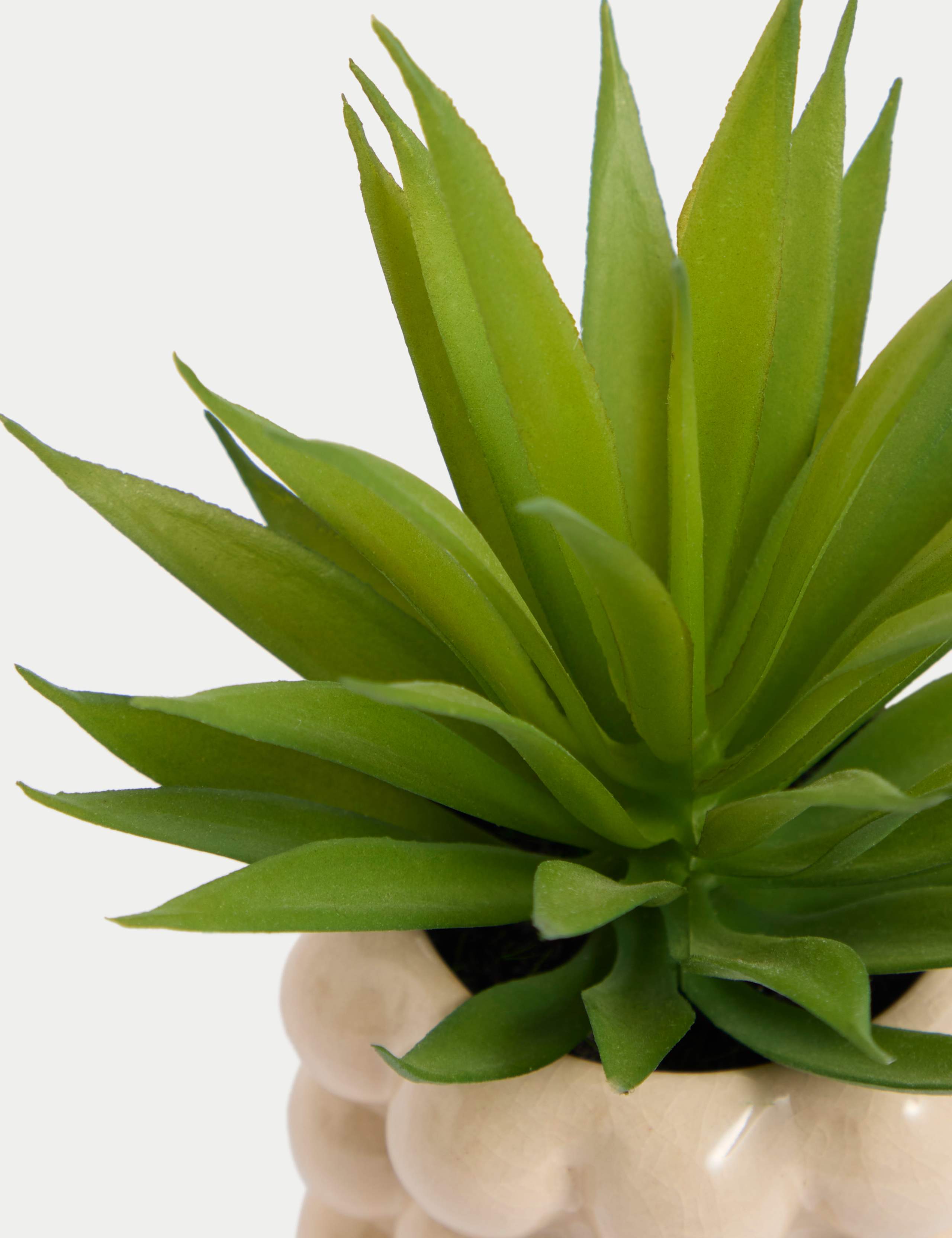 Artificial Mini Air Plant in Bobble Ceramic Pot 2 of 3