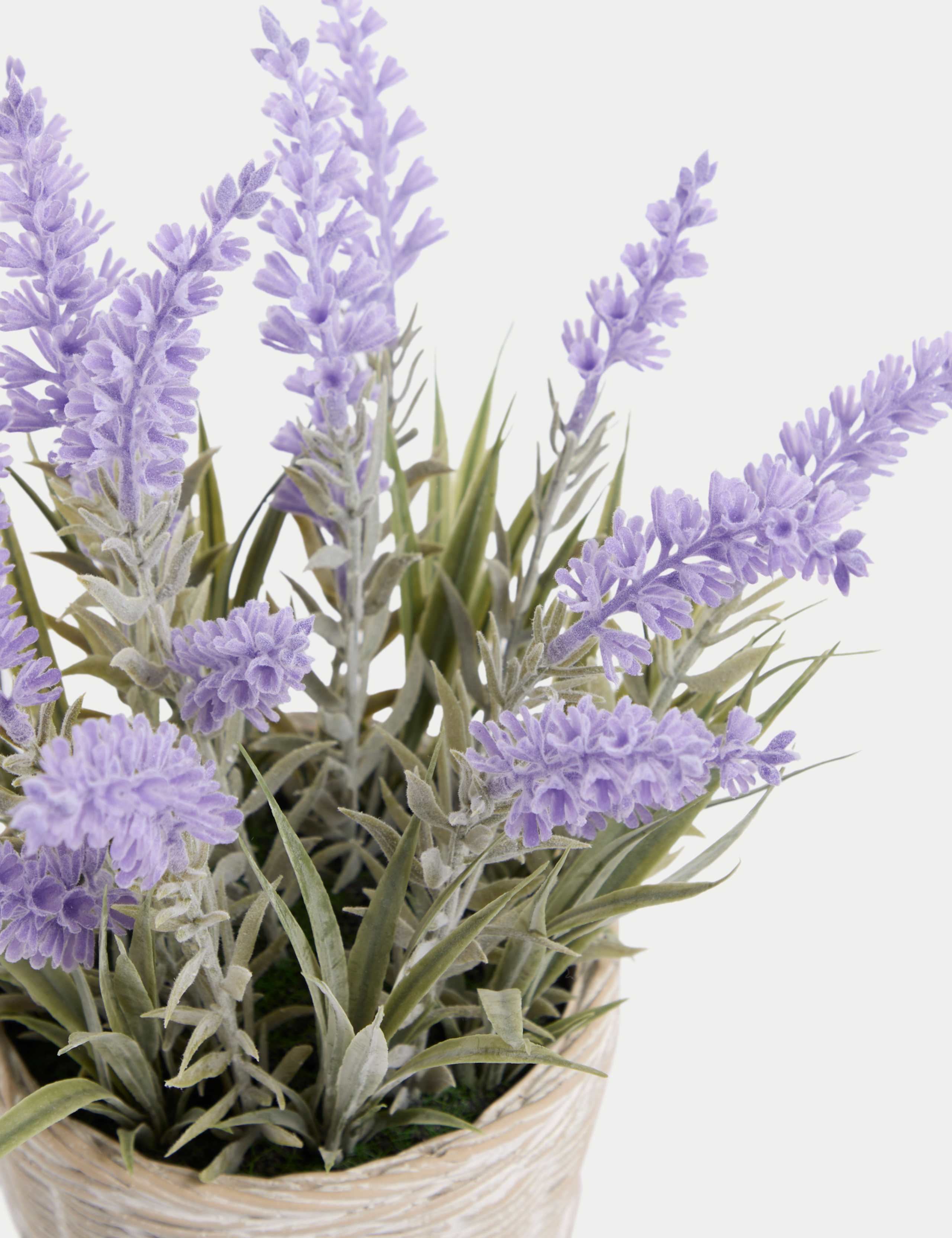 Artificial Lavender Plant in Resin Wicker Pot 2 of 3