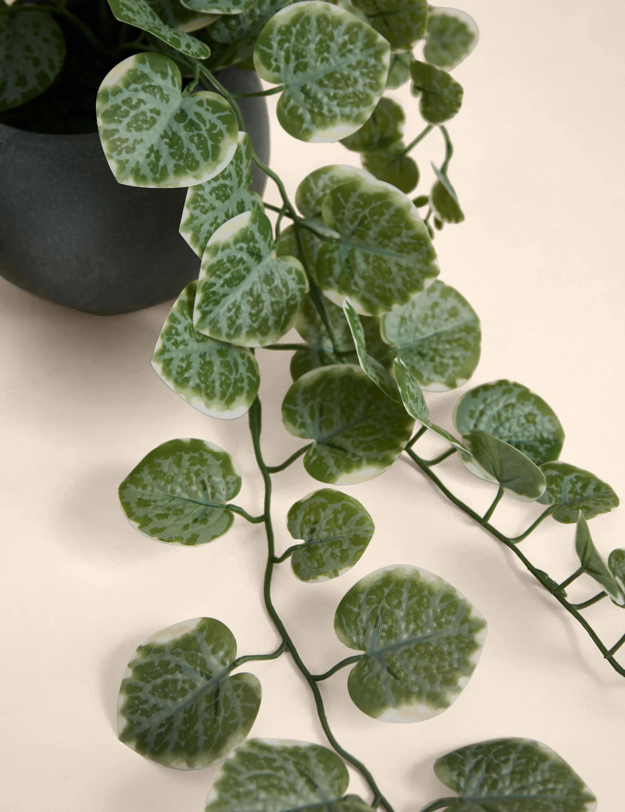 Artificial Trailing Eucalyptus in Ceramic Pot 2 of 3