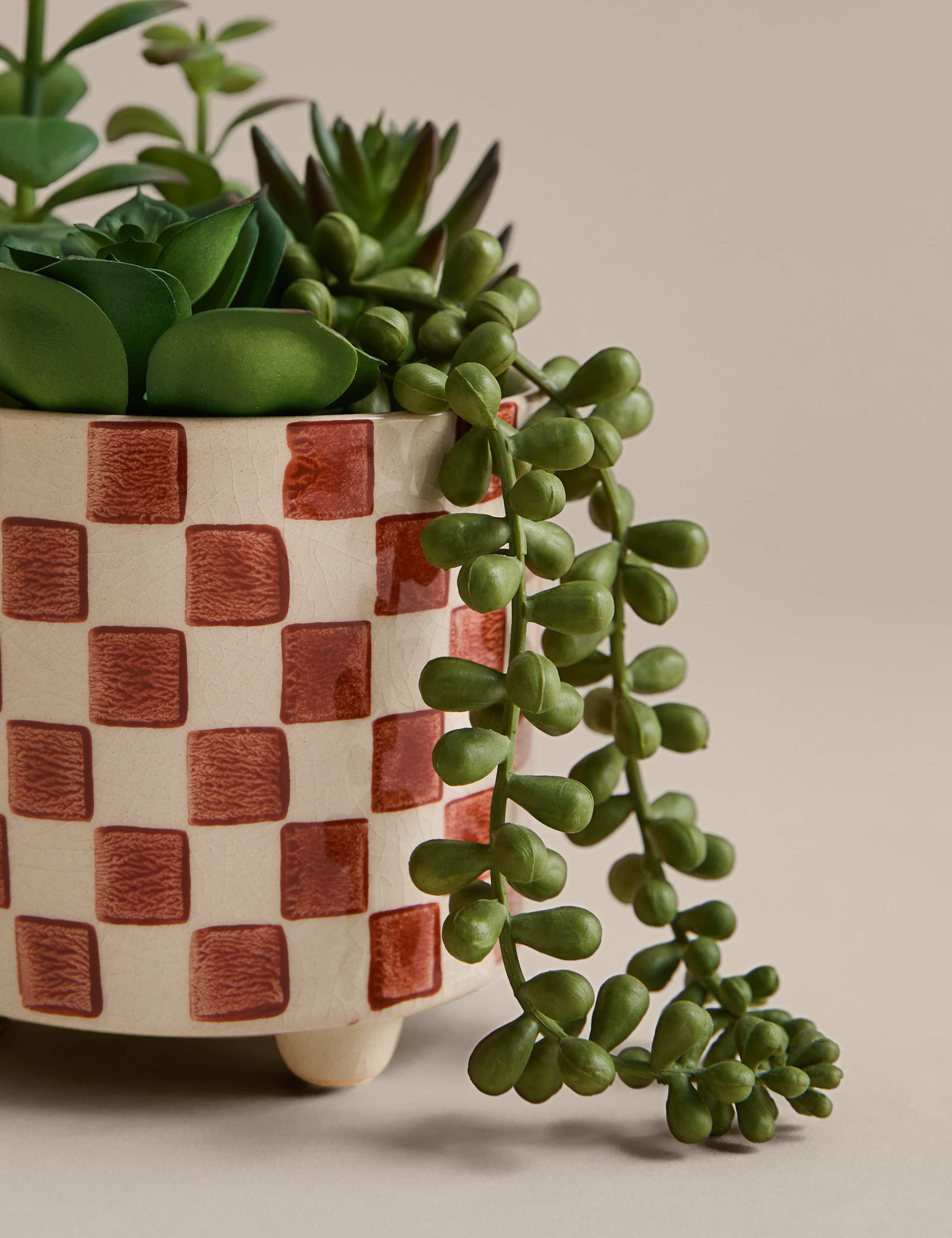 Artificial Succulent Family in Checked Pot 2 of 3