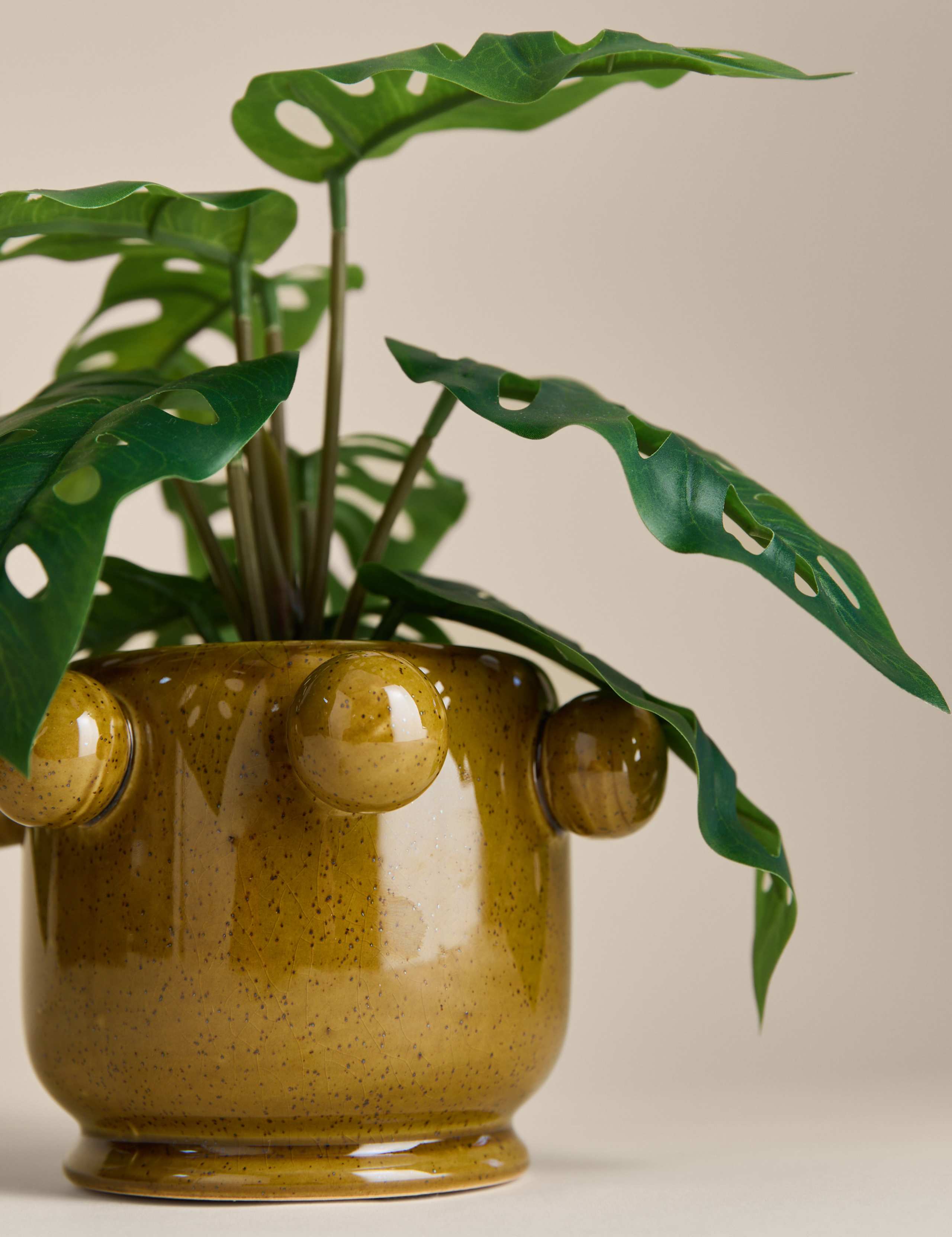 Artificial Cheese Plant in Ceramic Bobble Pot 3 of 4
