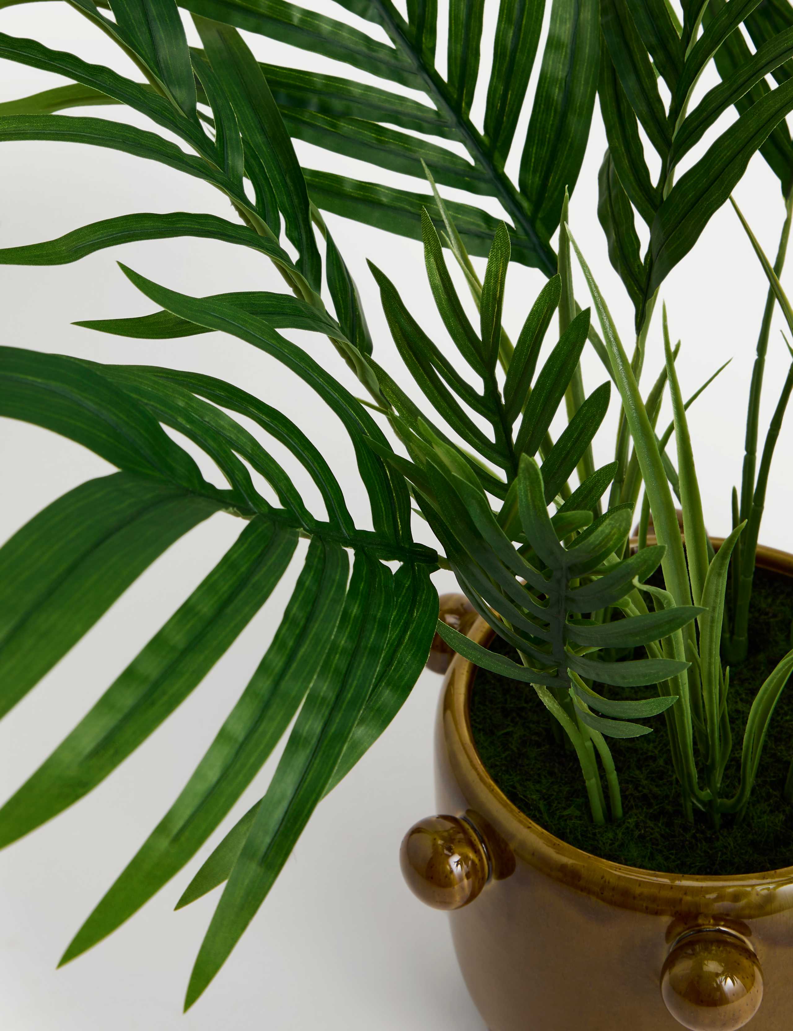 Artificial Palm Plant in Ceramic Pot 3 of 3