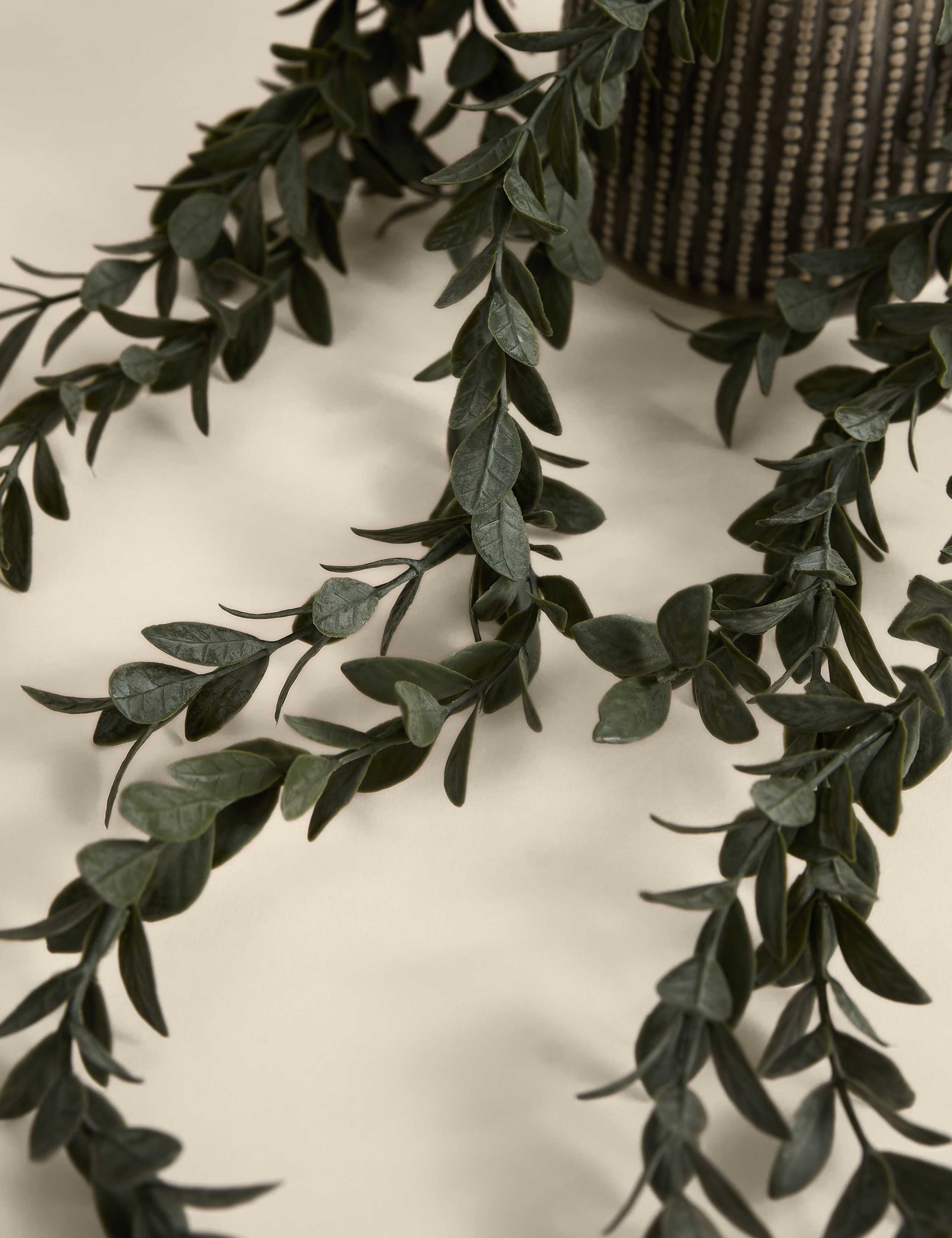Artificial Trailing Boxwood in Ceramic Pot 2 of 3