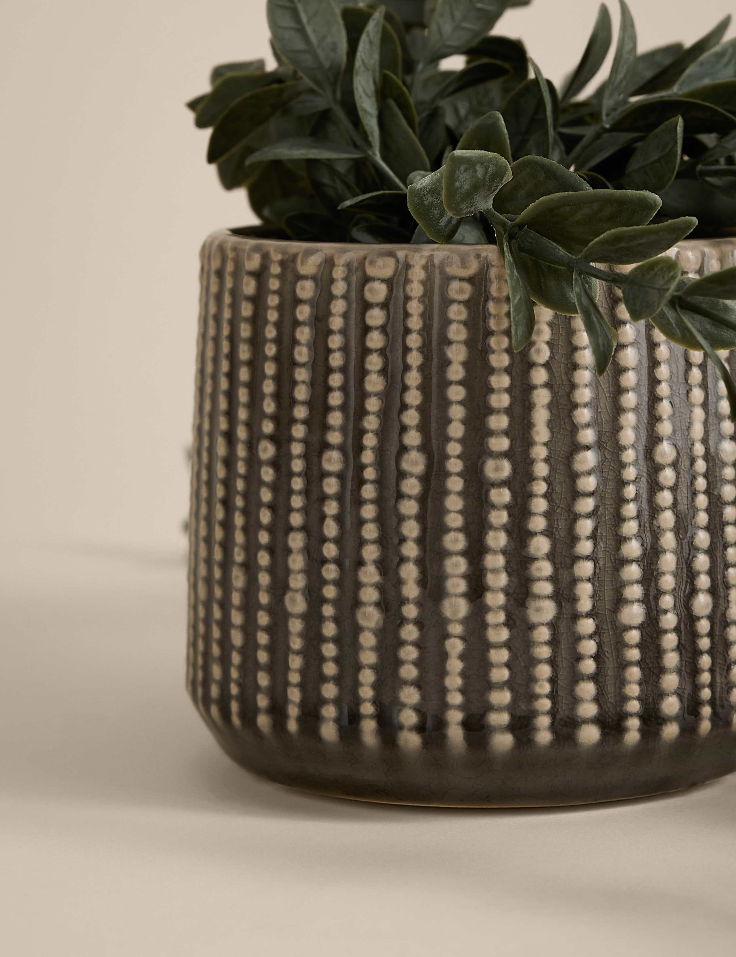 Artificial Trailing Boxwood in Ceramic Pot 3 of 3