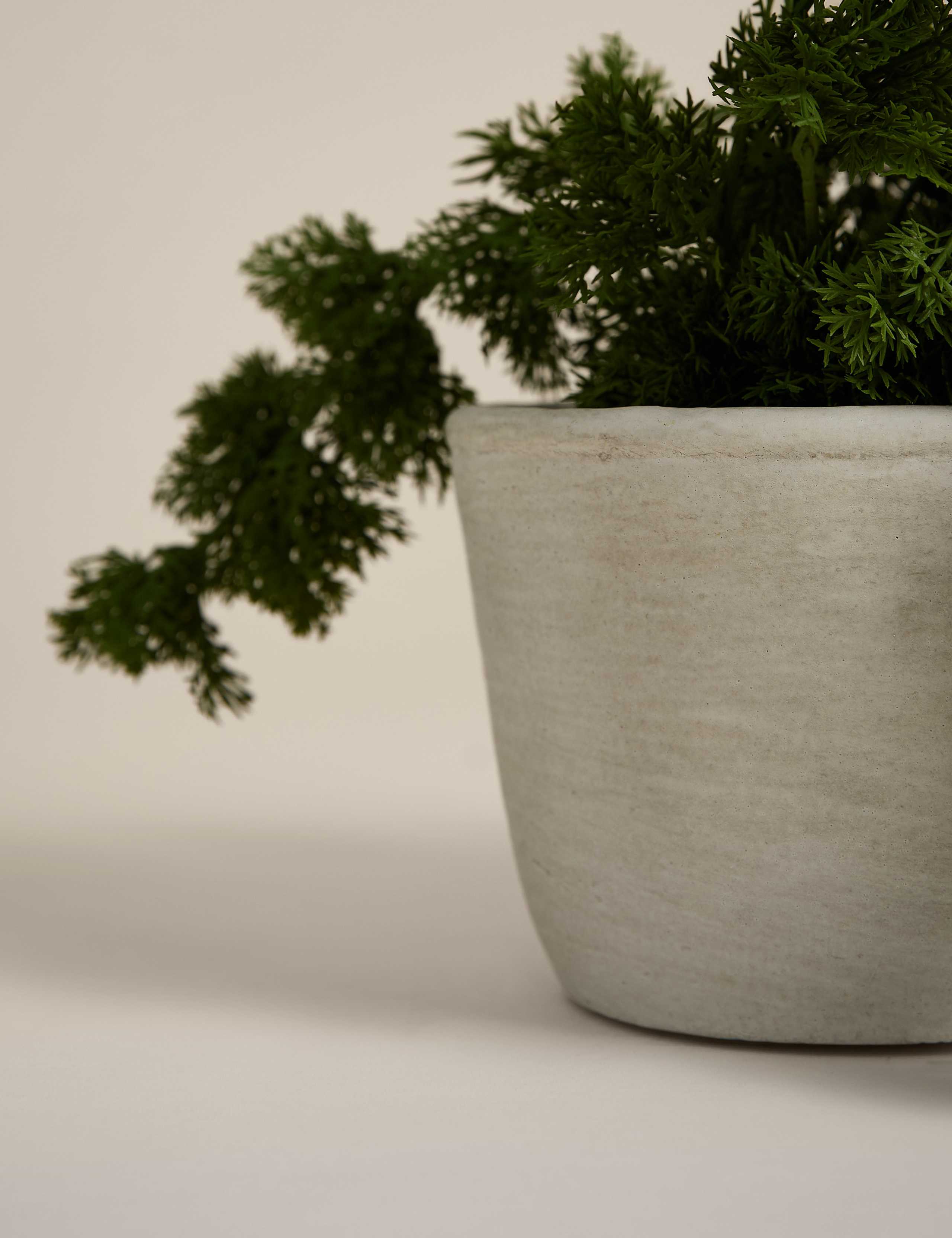 Artificial Trailing Moss in Cement Pot 3 of 3