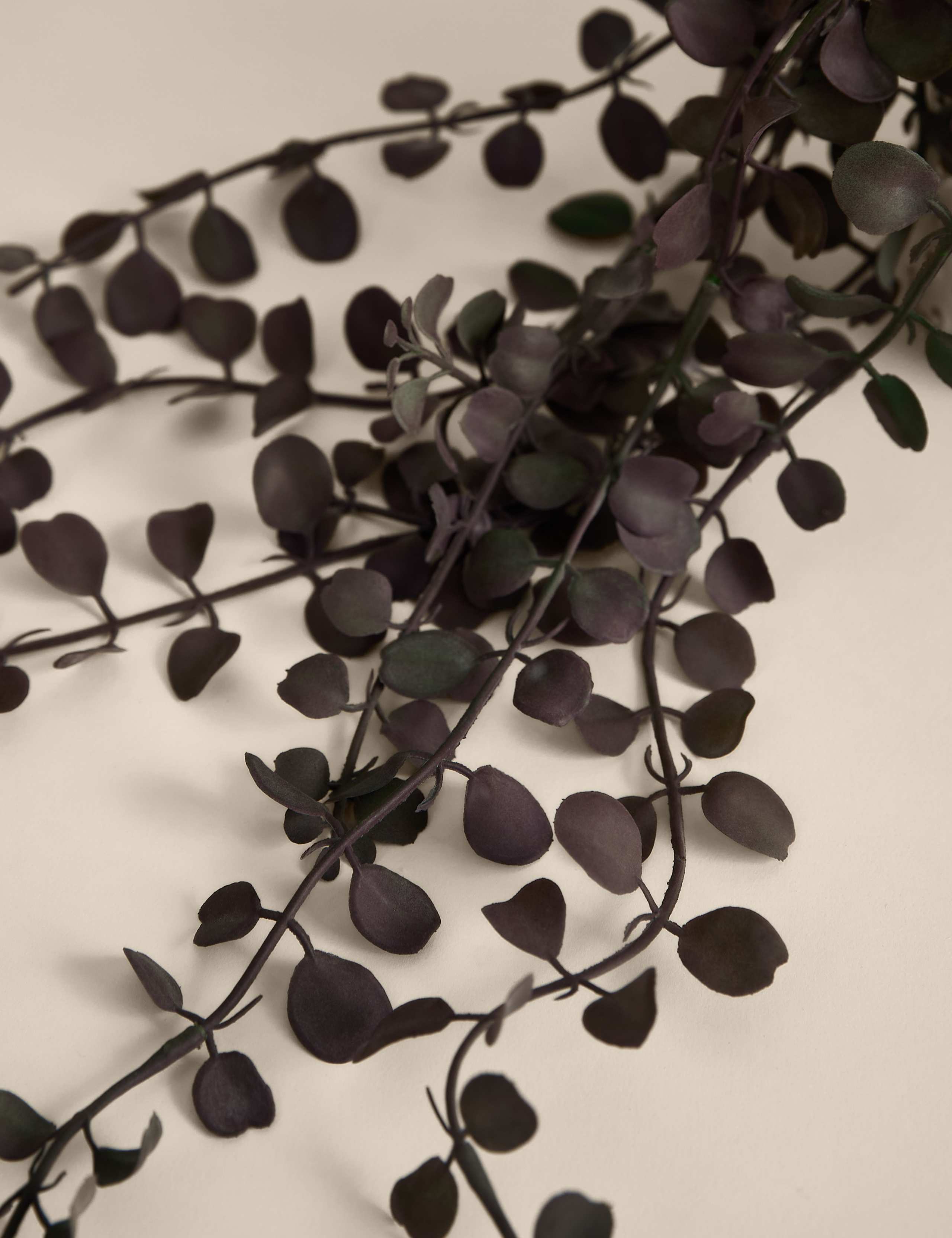 Artificial String of Hearts in Ceramic Pot 2 of 3