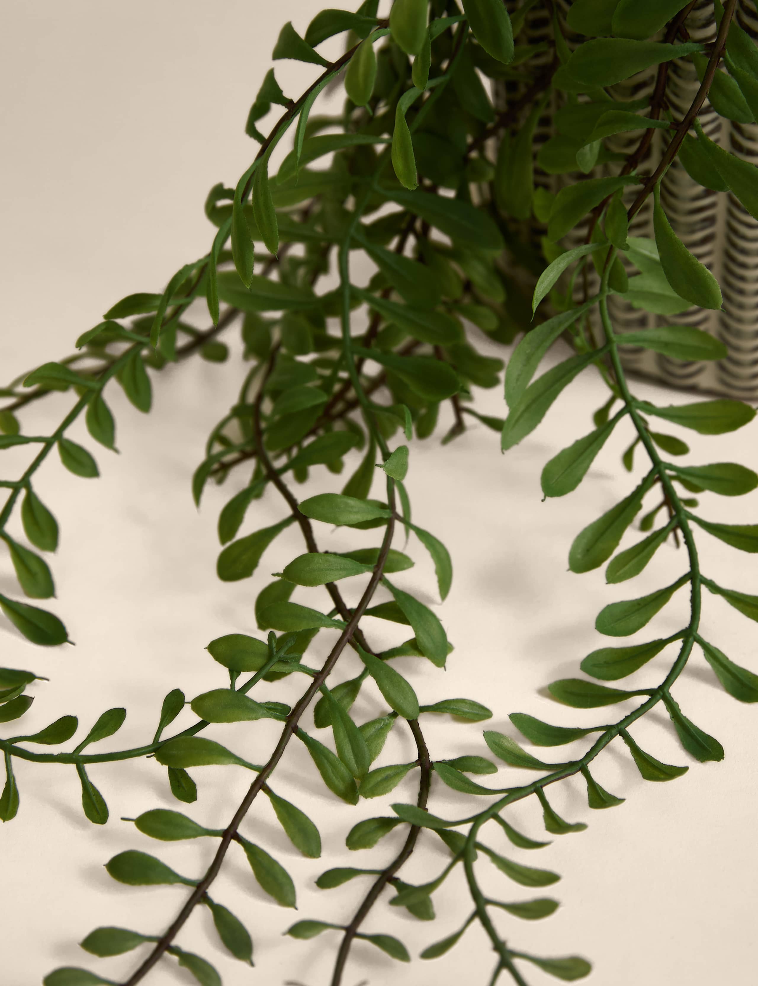 Artificial Trailing Fern in Ceramic Pot 2 of 3