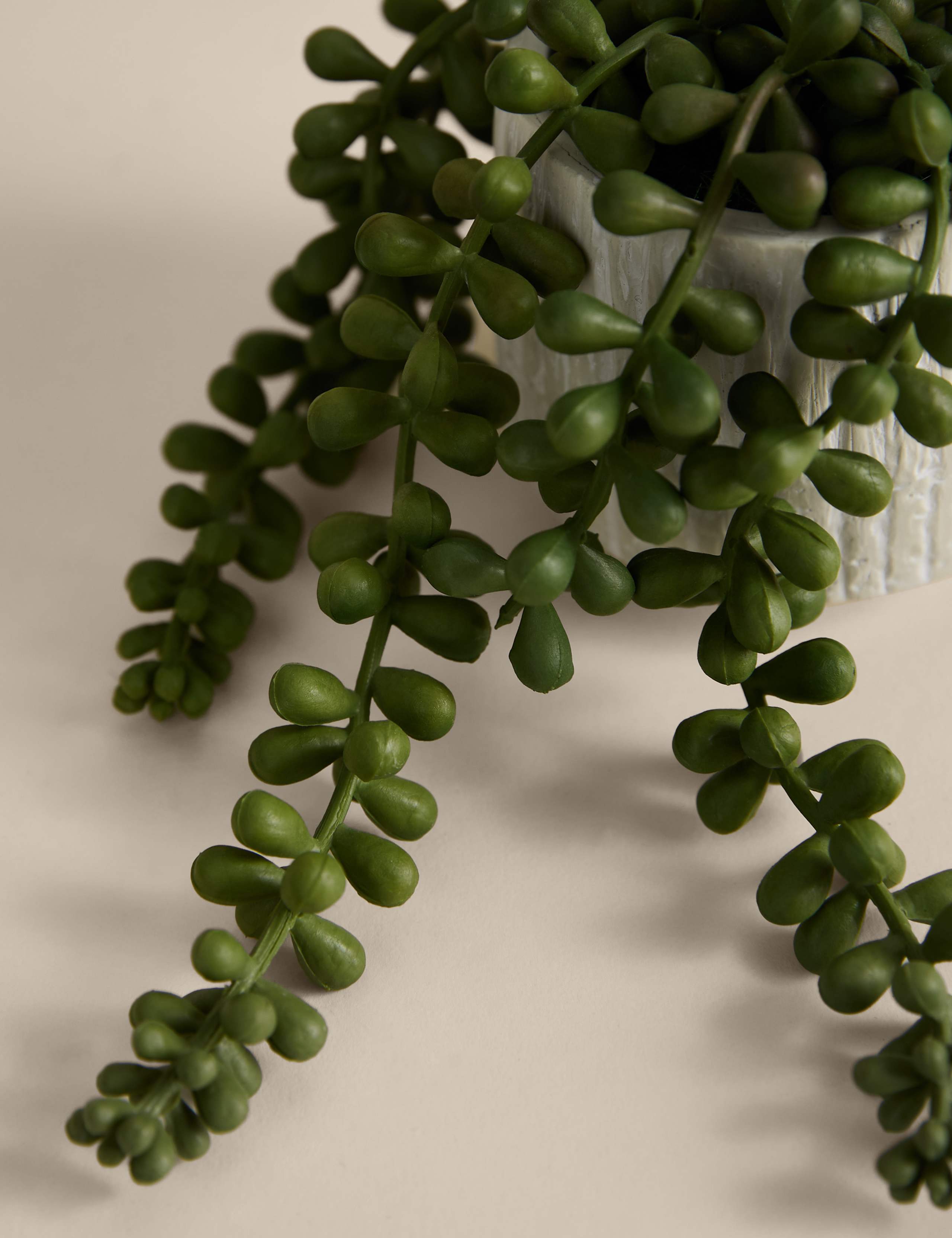 Artificial Baby String Of Pearls in Ceramic Pot 2 of 3