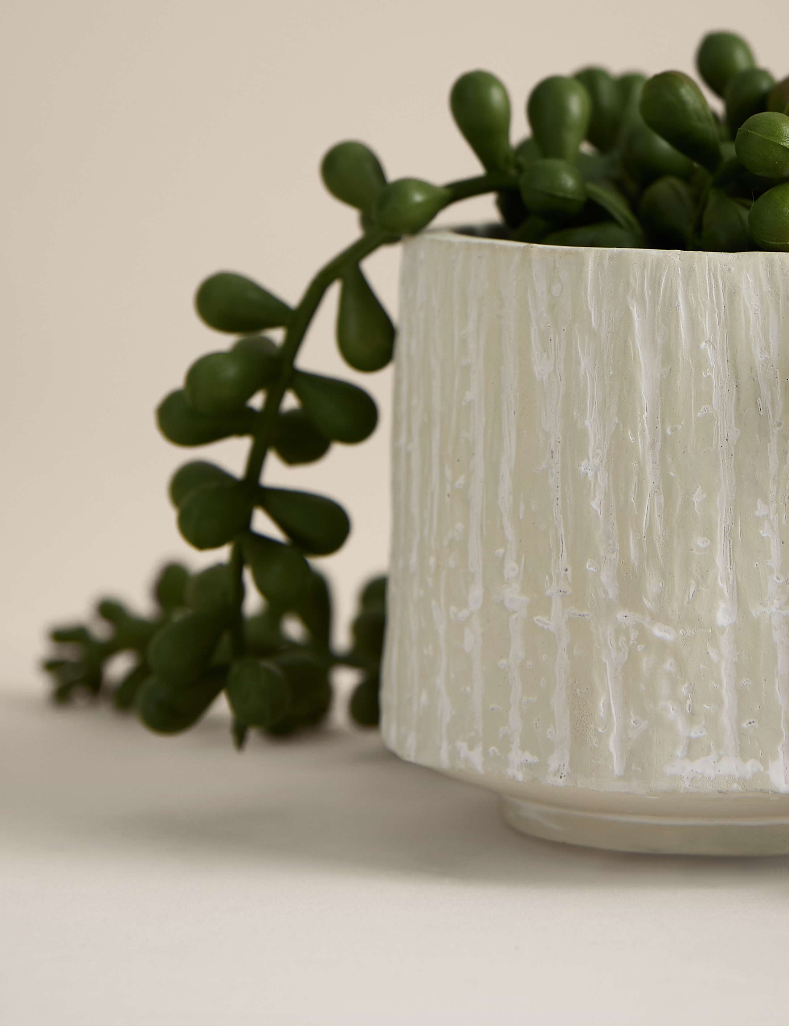 Artificial Baby String Of Pearls in Ceramic Pot 3 of 3