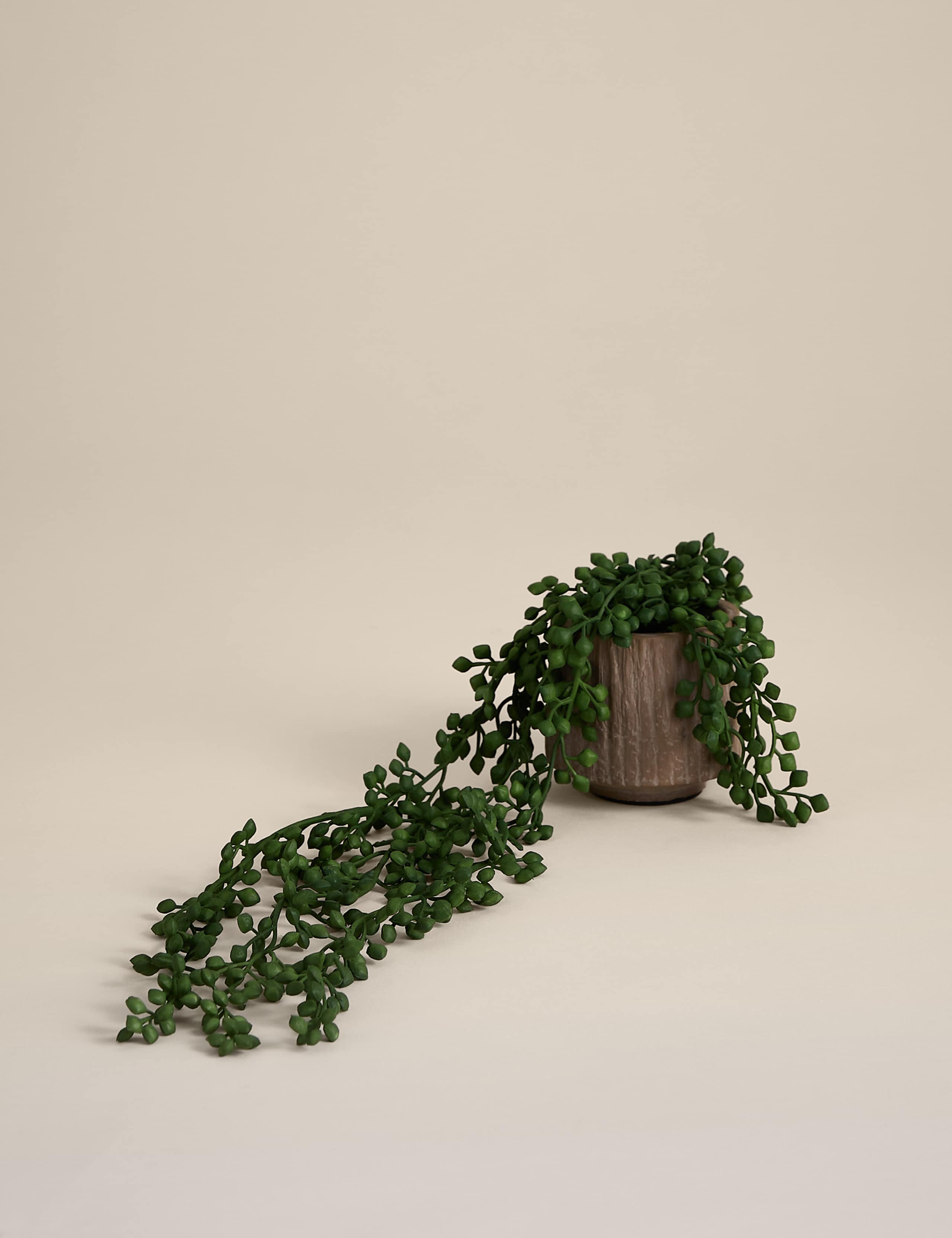 Artificial String of Pearls in Textured Ceramic Pot 1 of 3