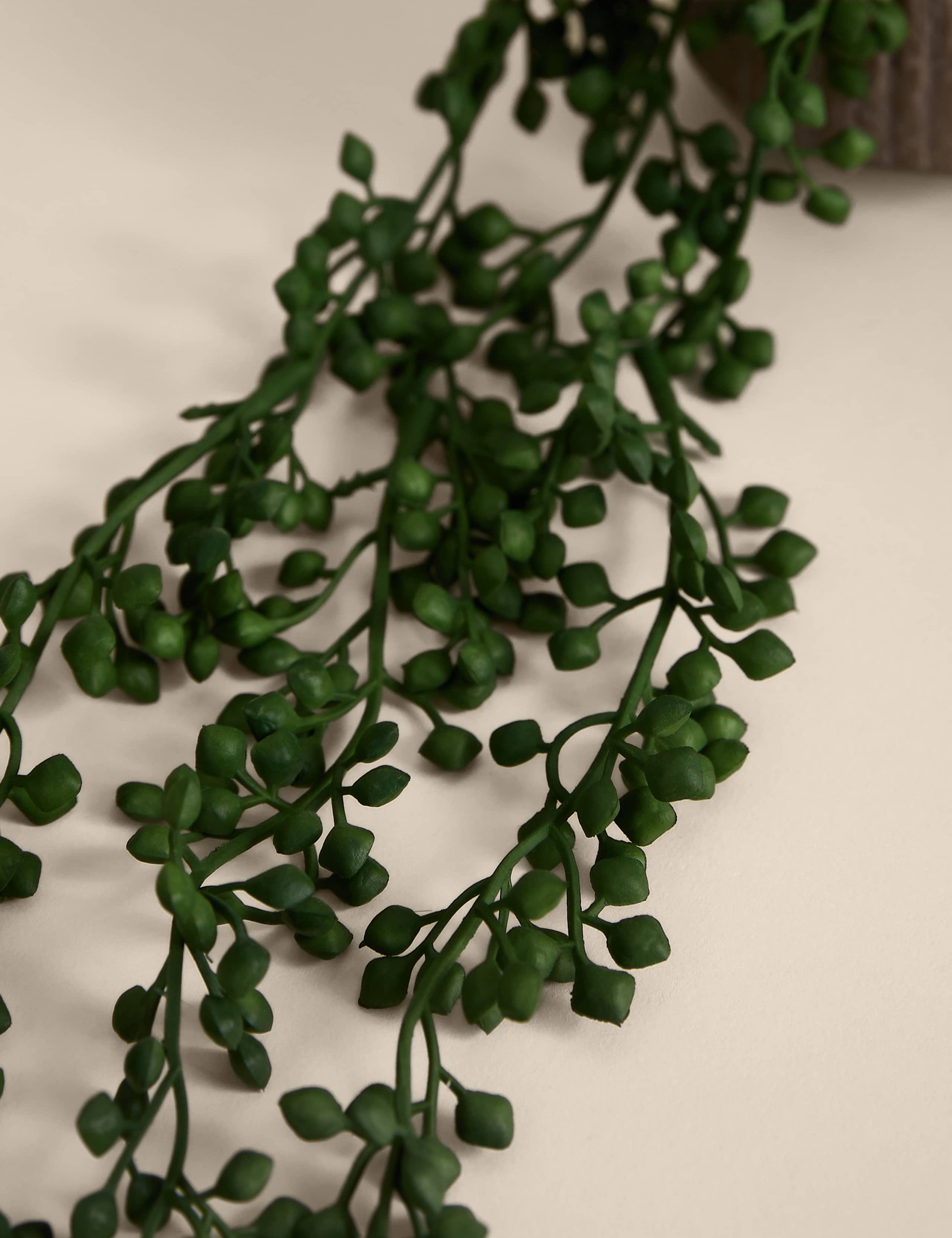 Artificial String Of Hearts in Textured Ceramic Pot 2 of 3