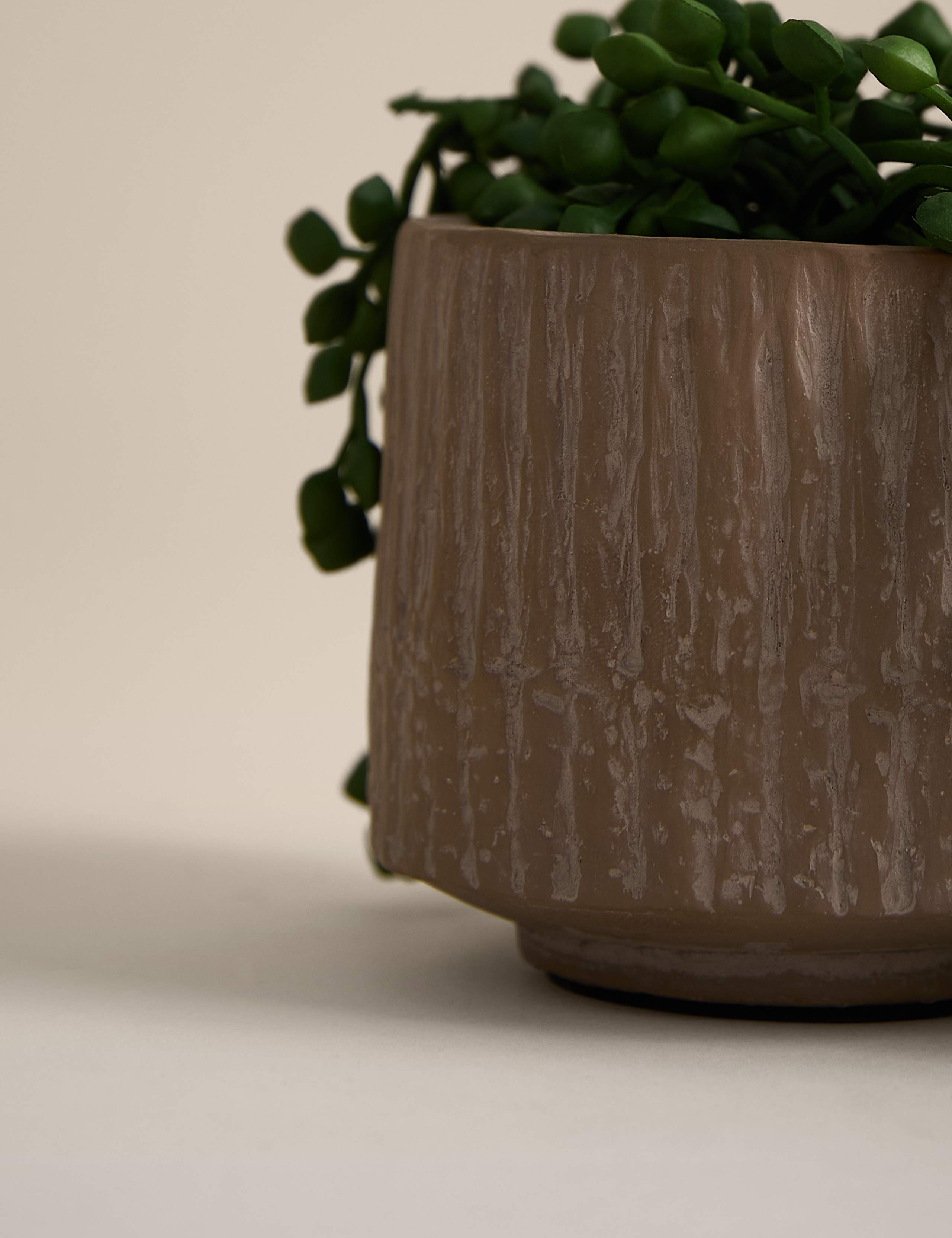 Artificial String of Pearls in Textured Ceramic Pot 3 of 3
