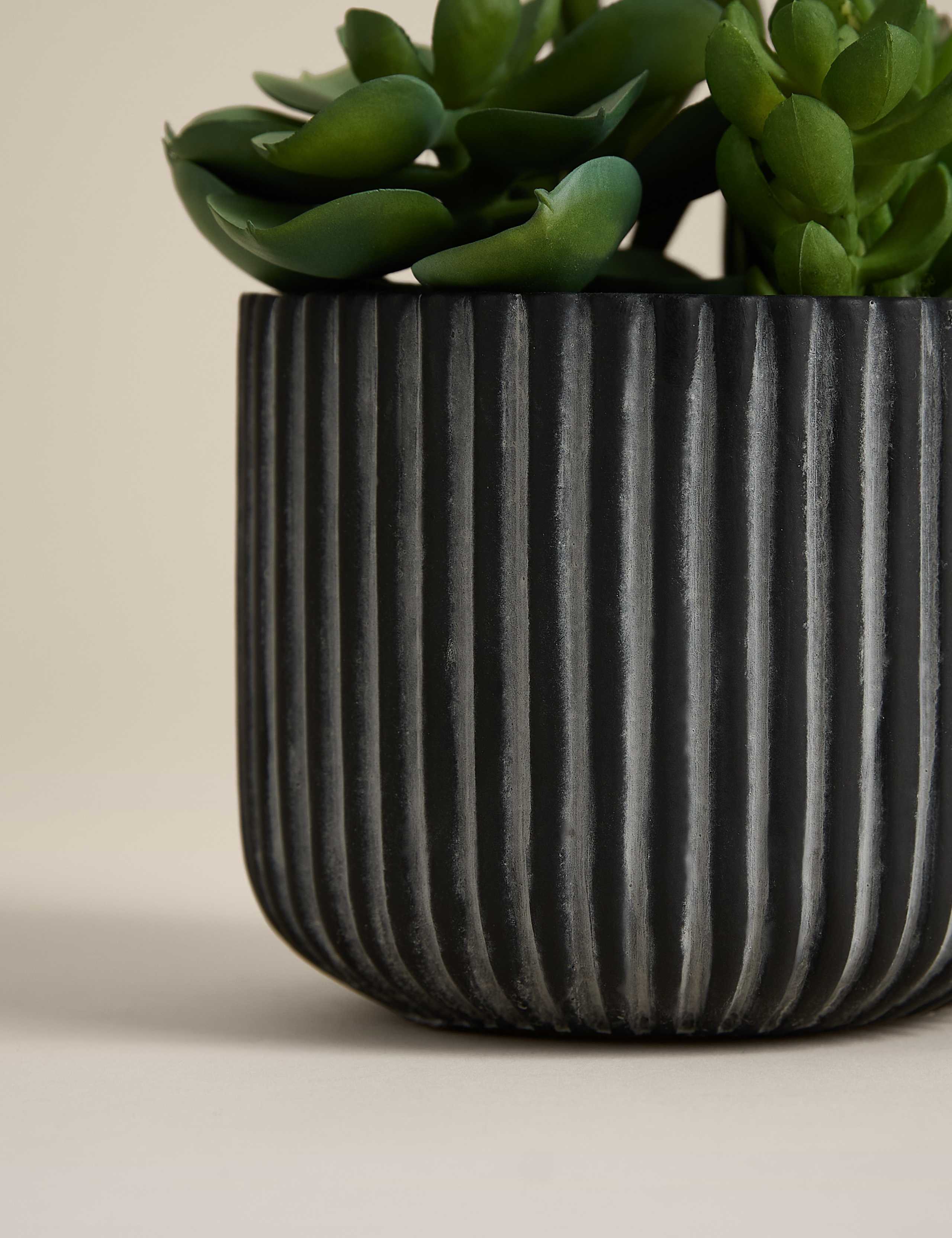 Artificial Succulents in Ridged Cement Pot 3 of 3