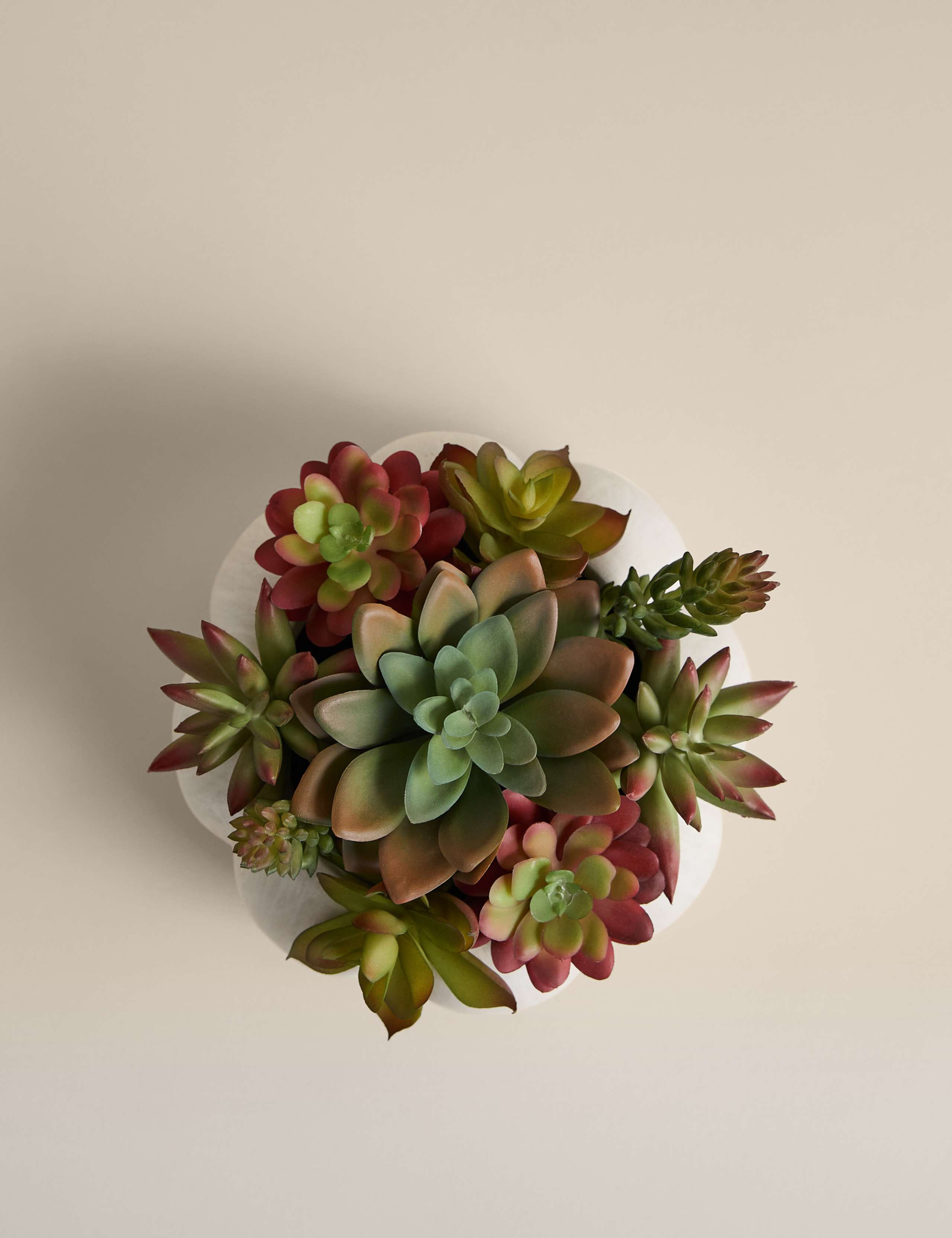 Artificial Succulents in Concrete Pot 2 of 4