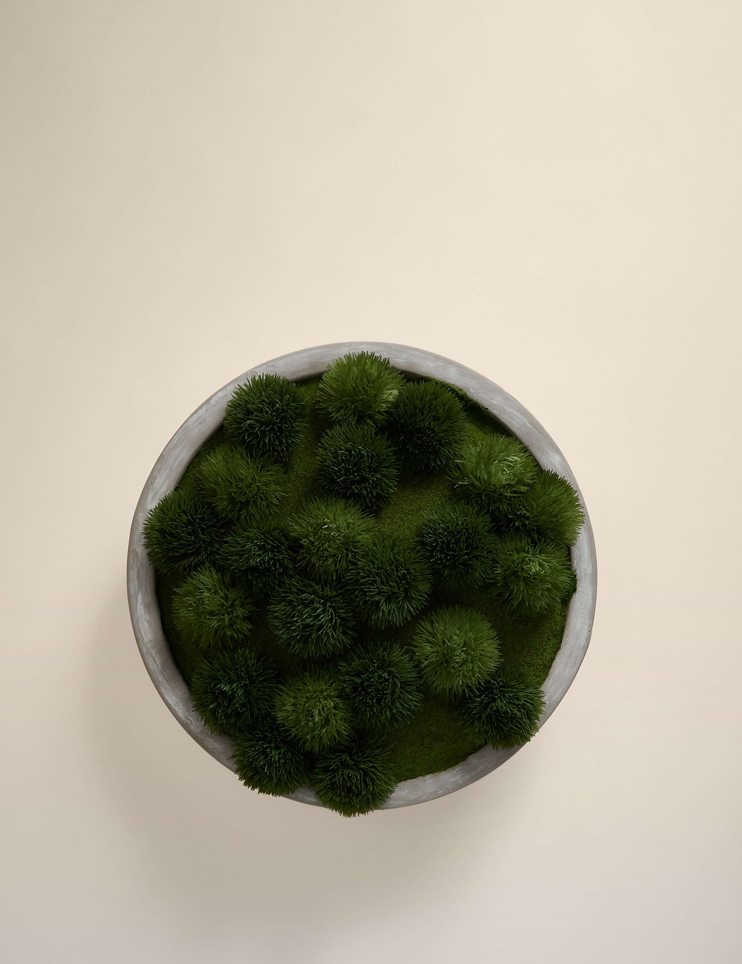 Artificial Moss in Large Concrete Bowl 2 of 4