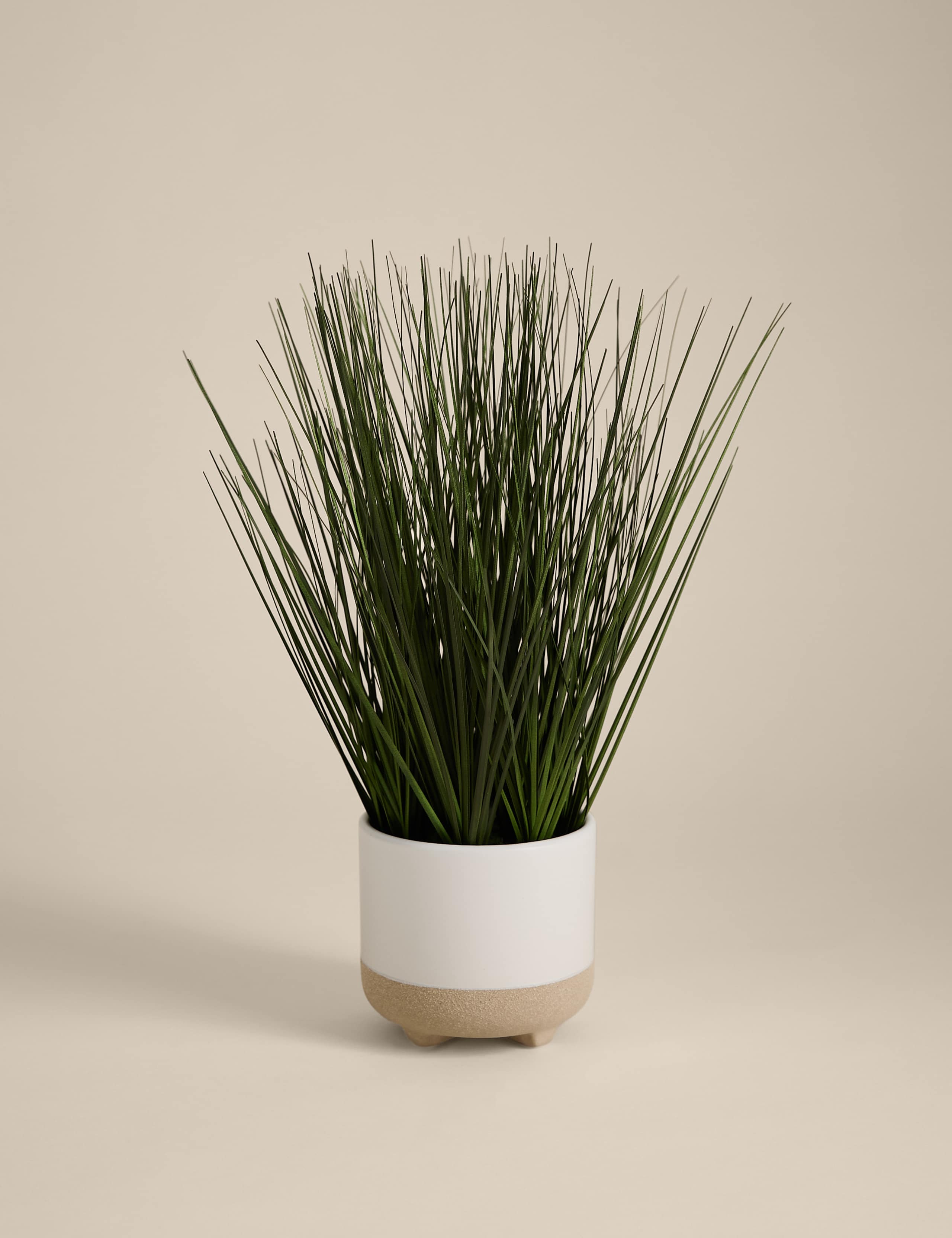 Artificial Grass in Ceramic Footed Pot 1 of 3