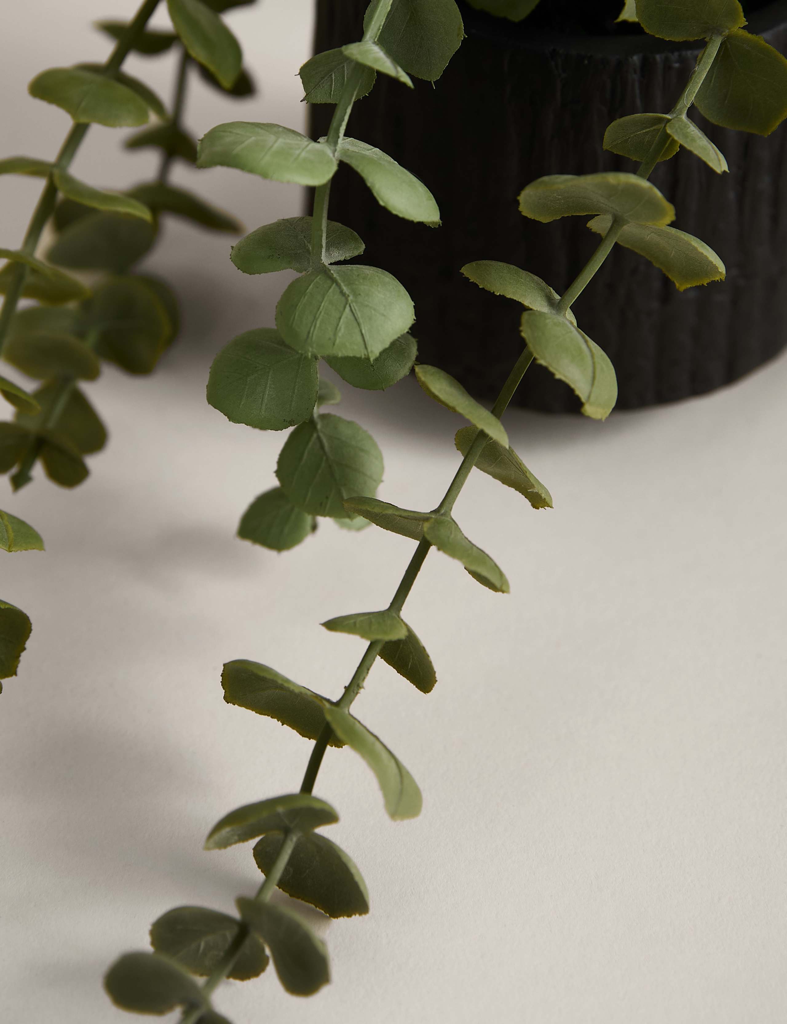 Artificial Trailing Baby Plant in Textured Ceramic Pot 2 of 3