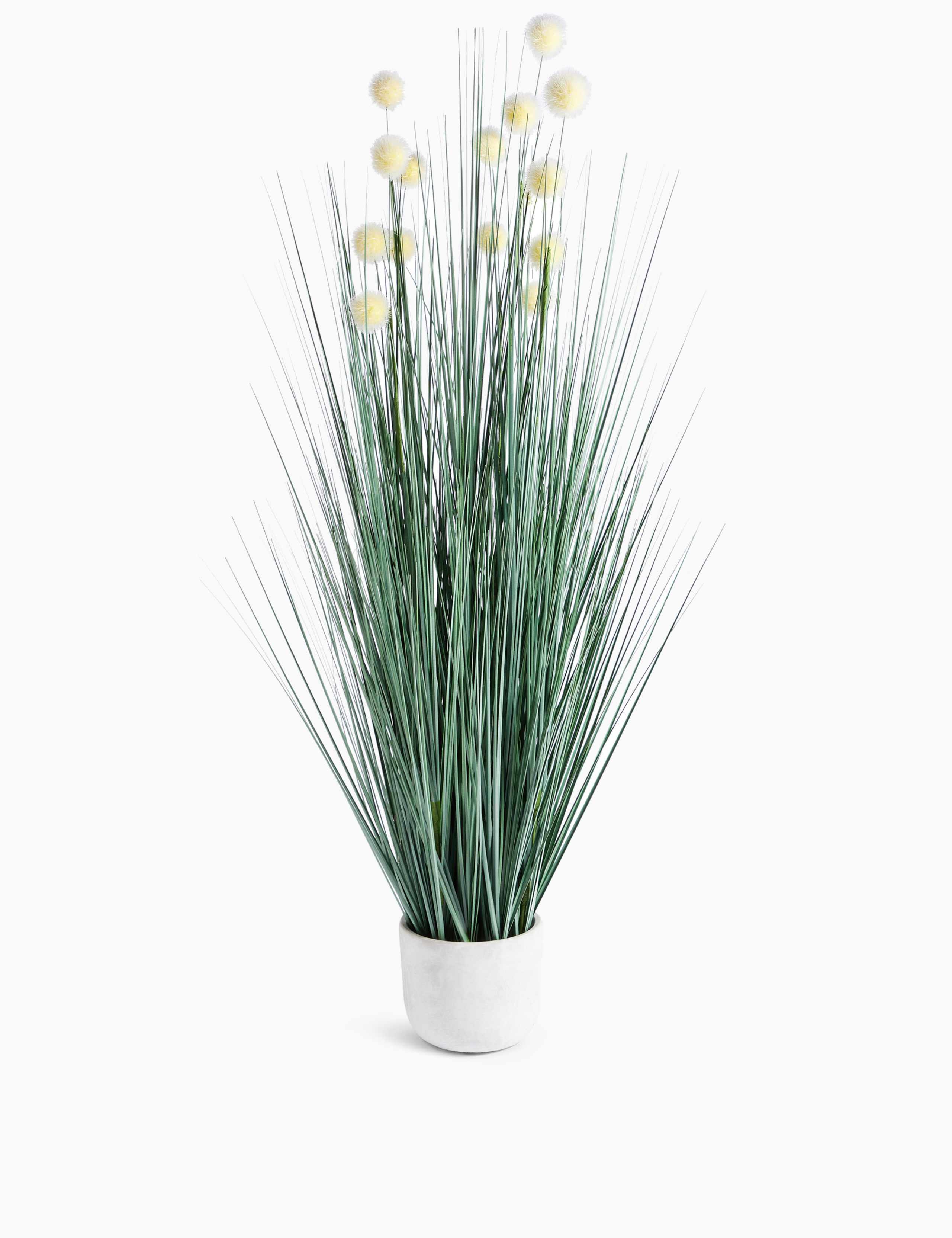 Tall Grass & Pom Pom in Concrete Pot 1 of 3