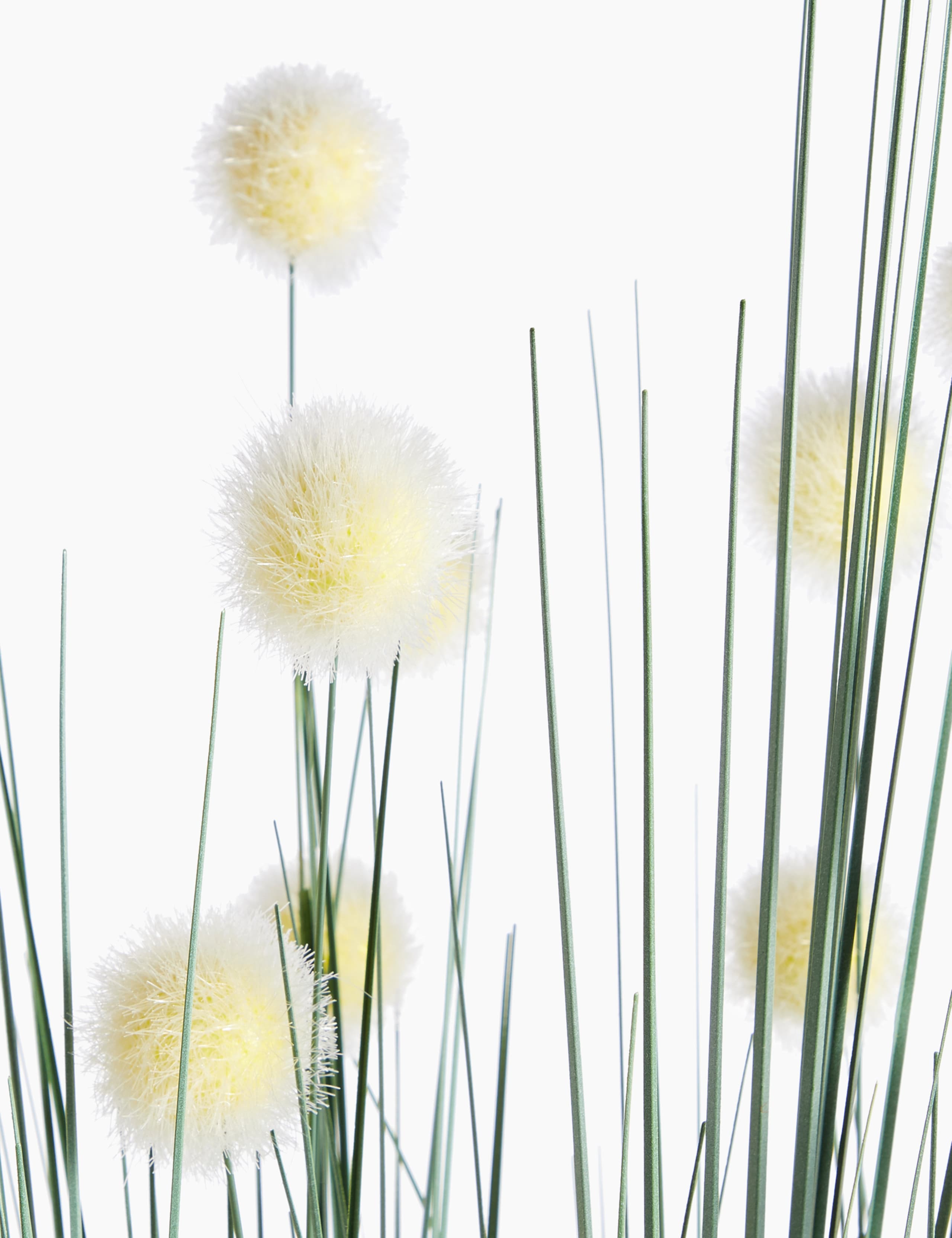 Tall Grass & Pom Pom in Concrete Pot 2 of 3