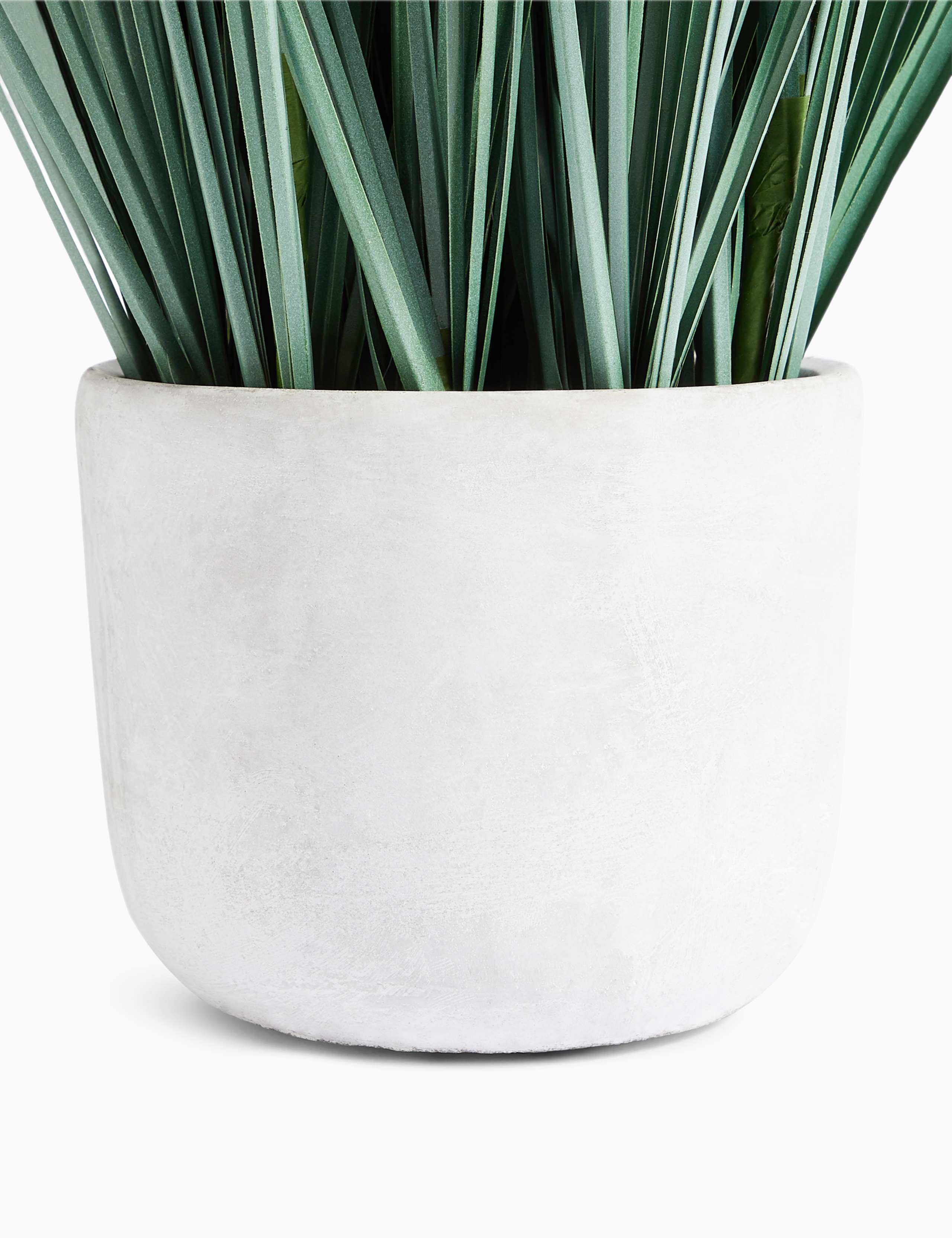 Tall Grass & Pom Pom in Concrete Pot 3 of 3