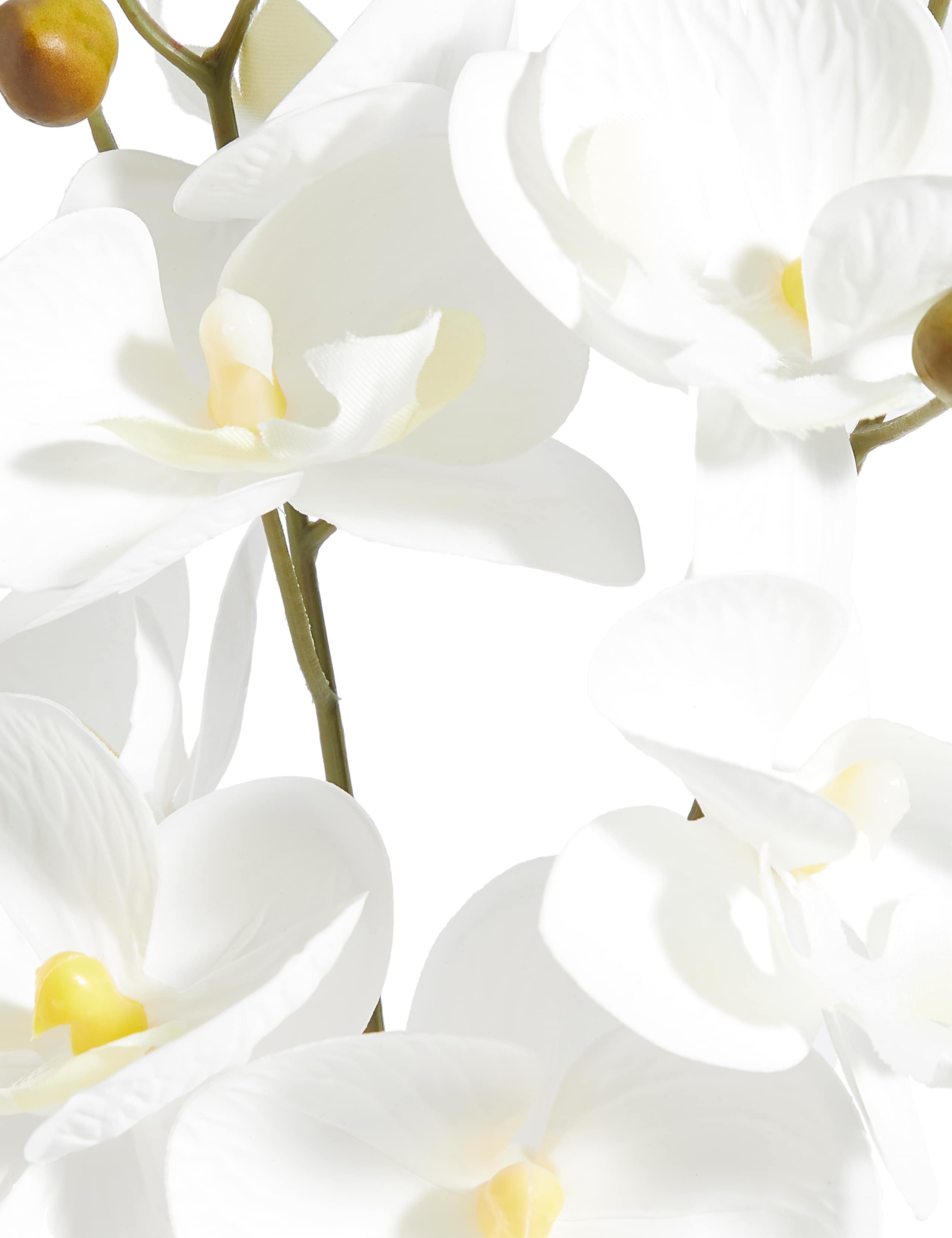 Large Orchid in Ombre Ceramic 2 of 3