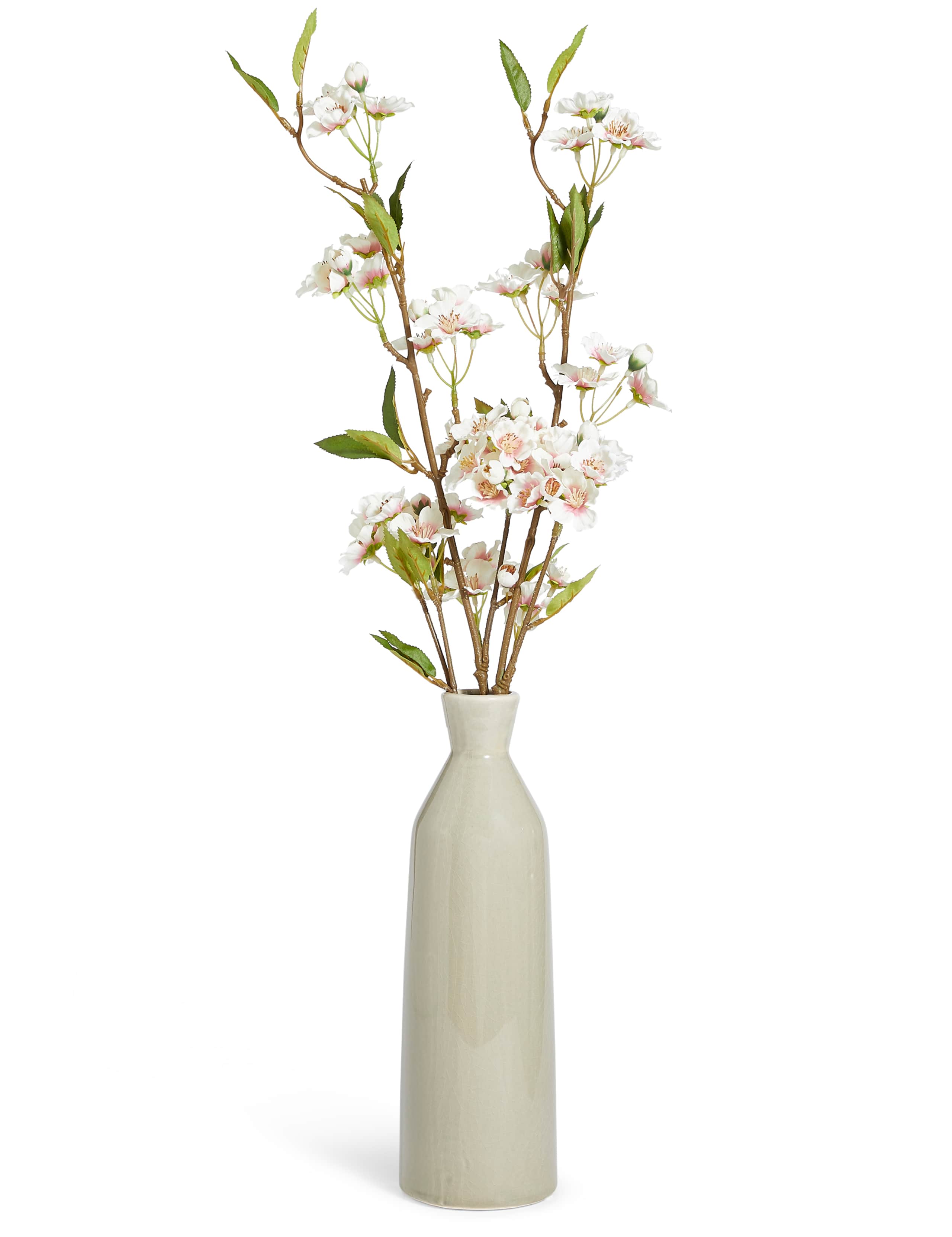 Cherry Blossom in Tall Ceramic 2 of 3