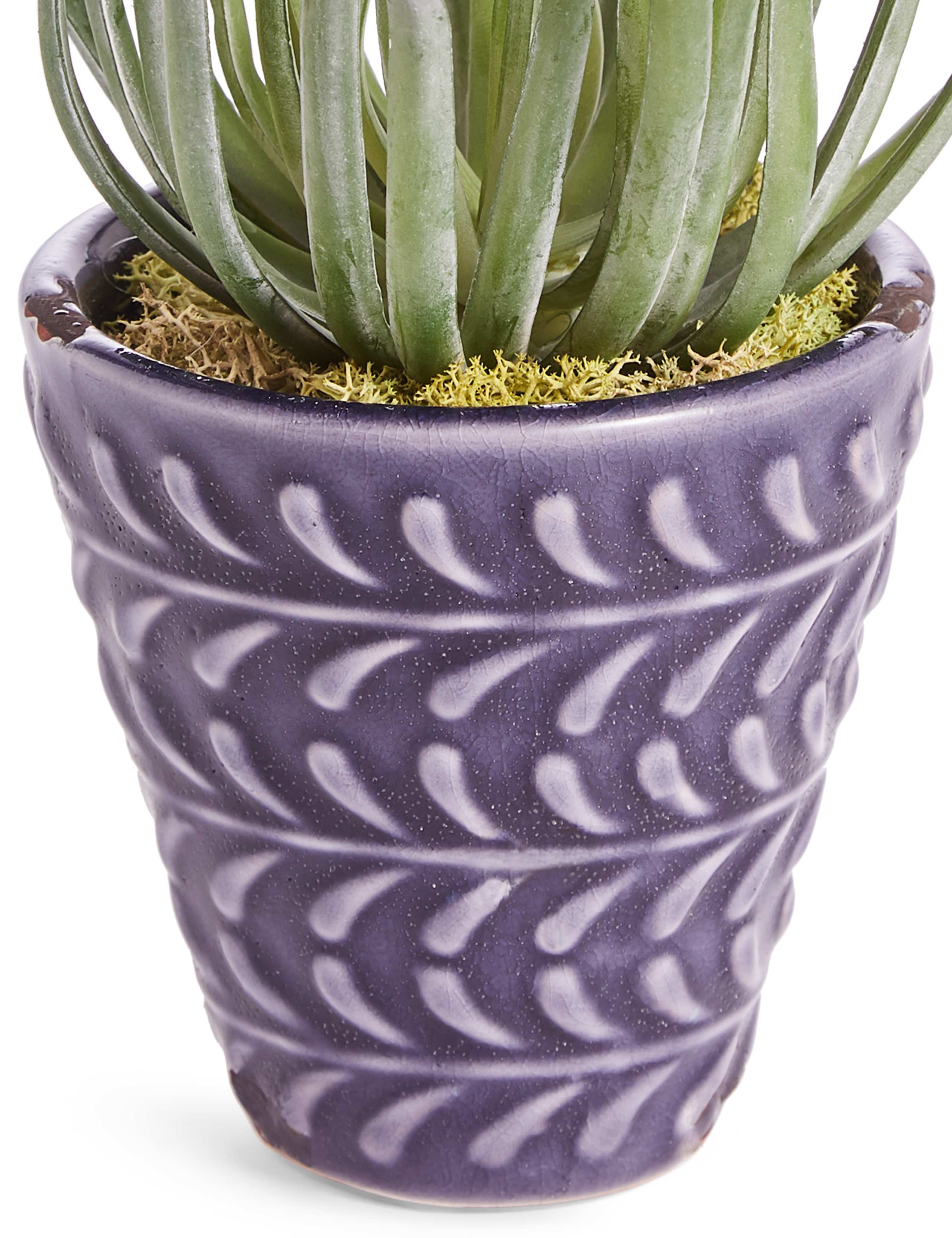 Arid Succulent in Blue Embossed Ceramic 2 of 3