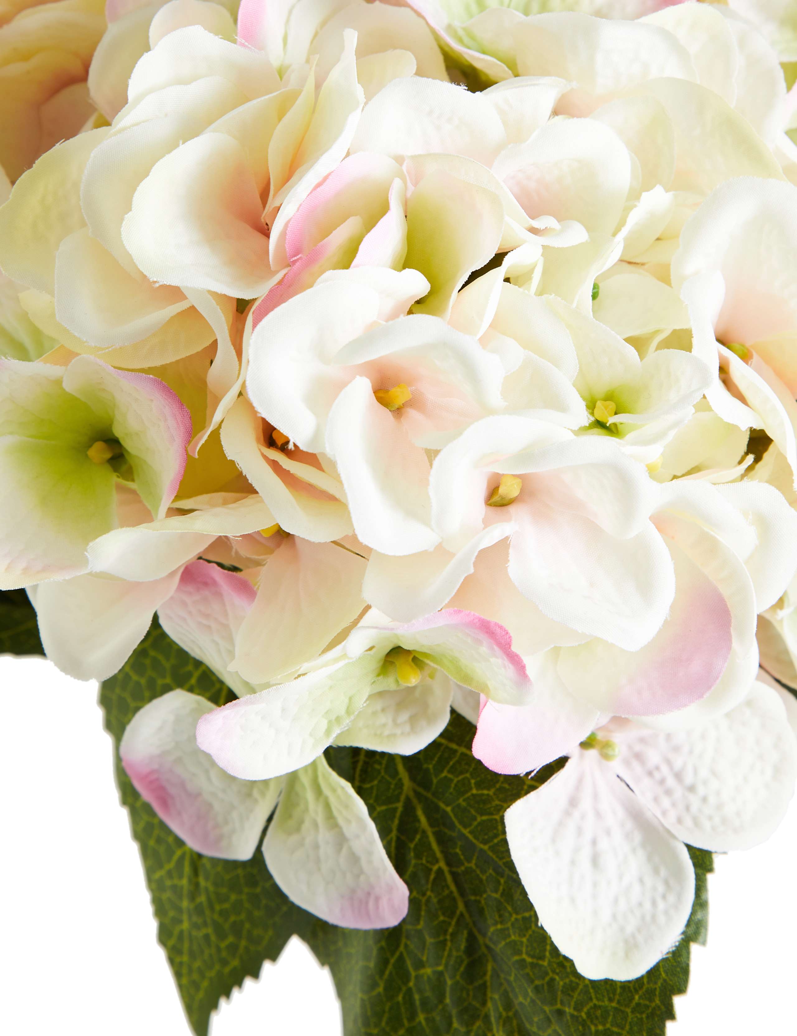 Hydrangea Bouquet 2 of 3