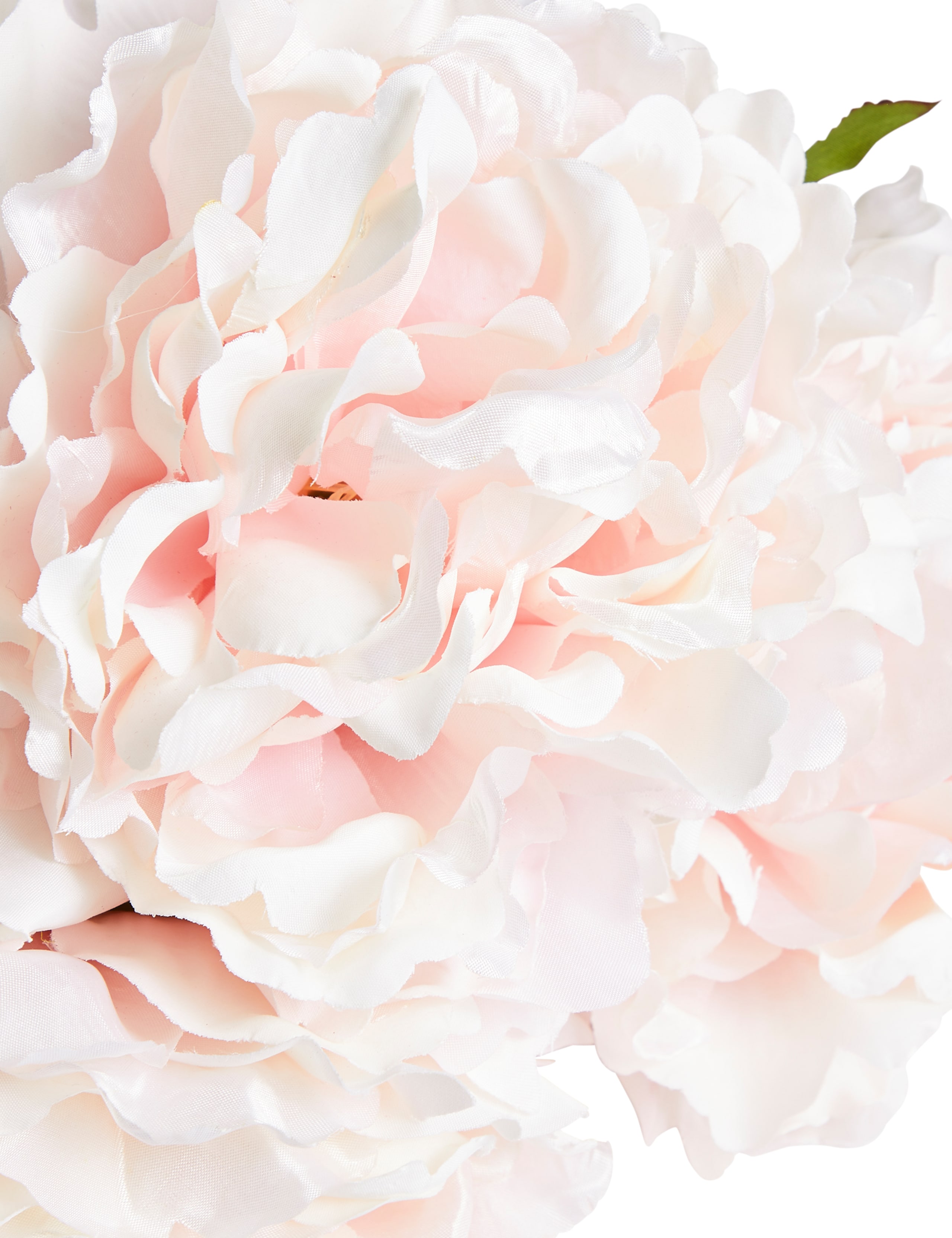 Peony Bouquet 2 of 3