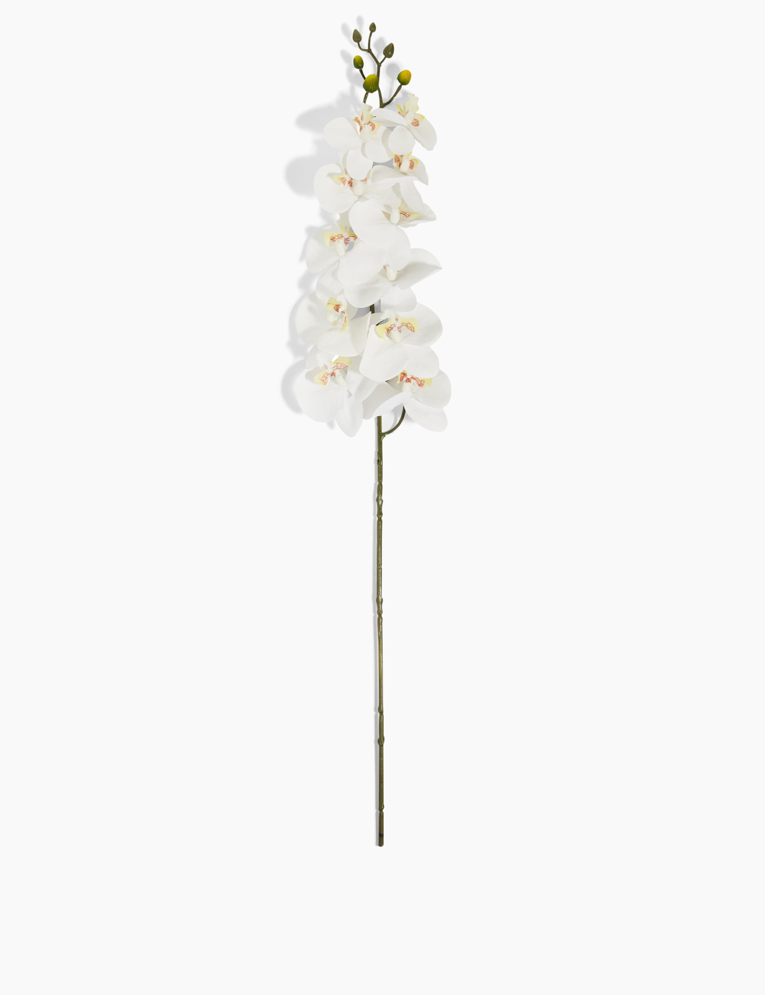 Artificial Large Orchid Single Stem 1 of 3