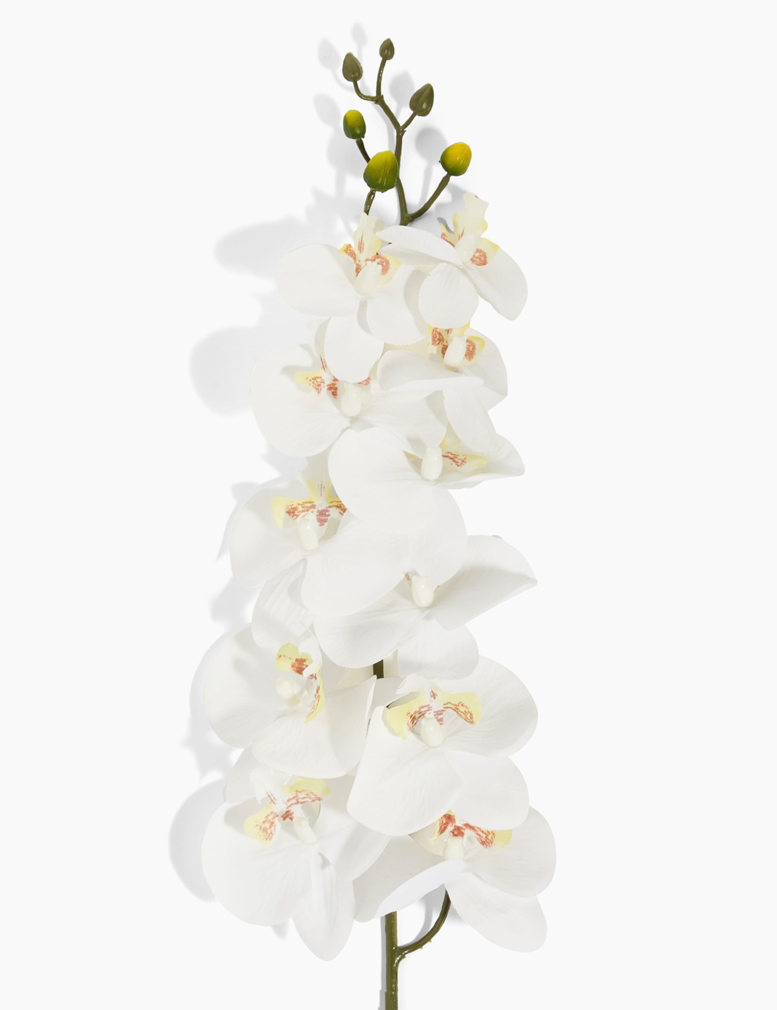 Artificial Large Orchid Single Stem 2 of 3