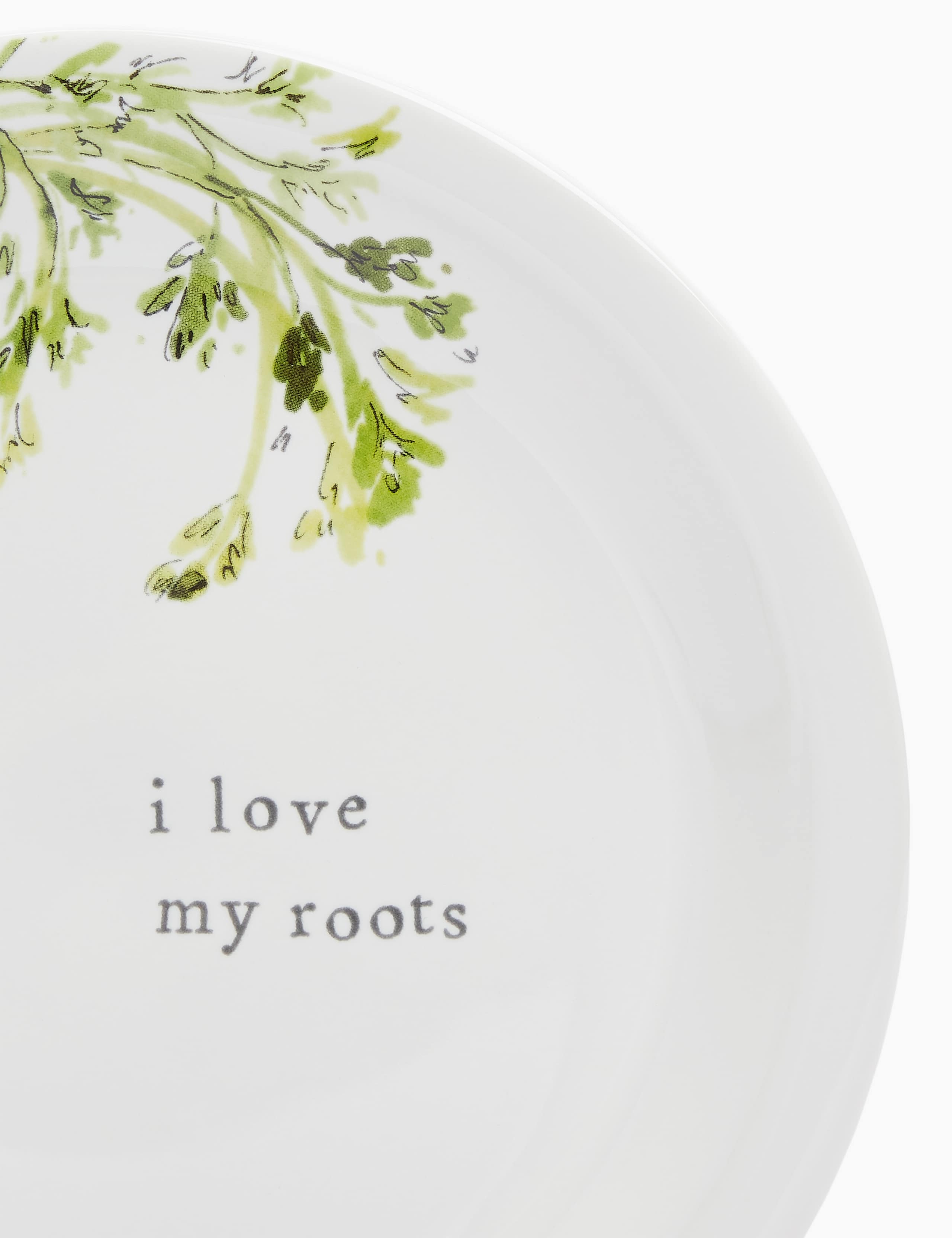Carrot Side Plate 3 of 3