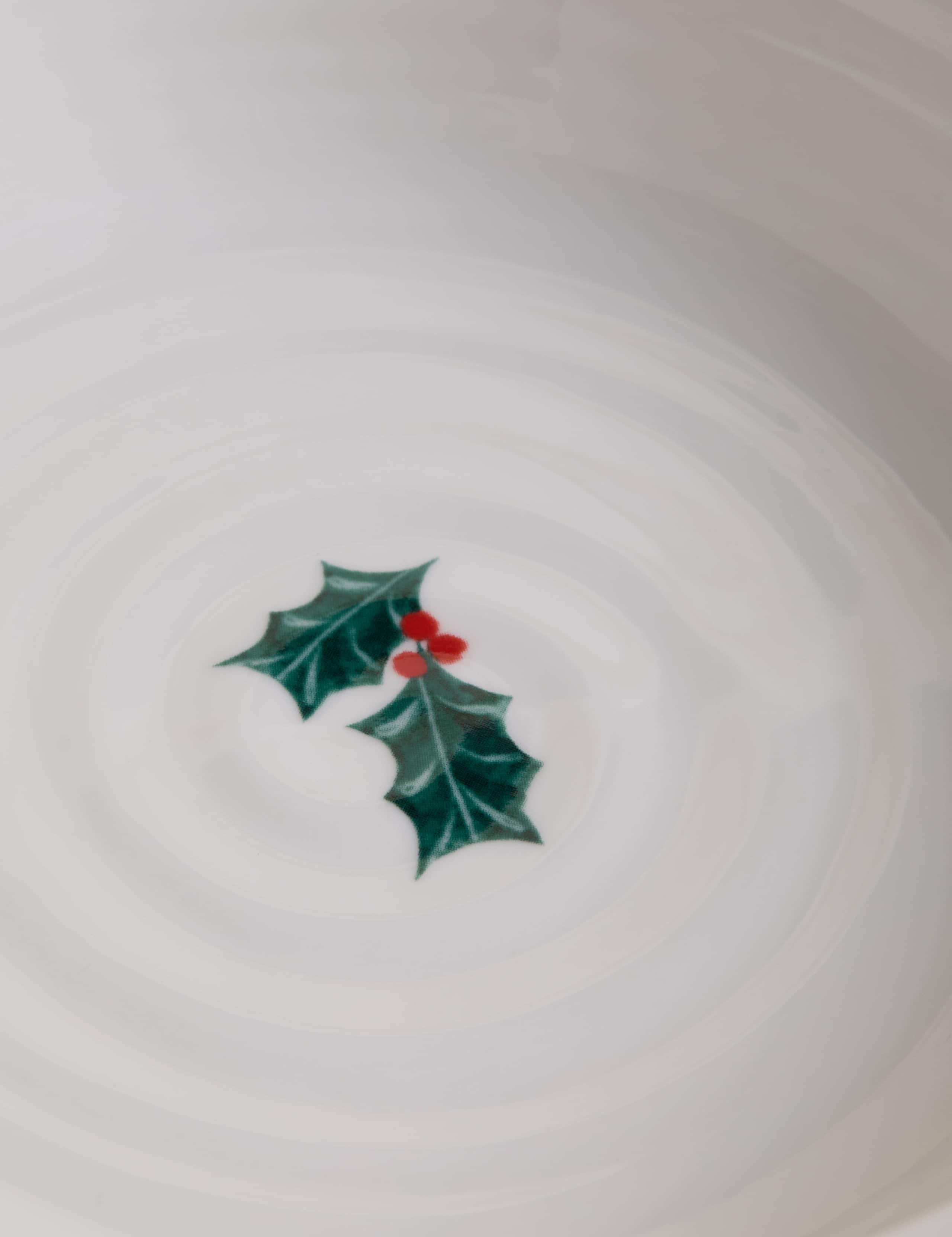 12 Piece Winter Berry Dinner Set 7 of 7