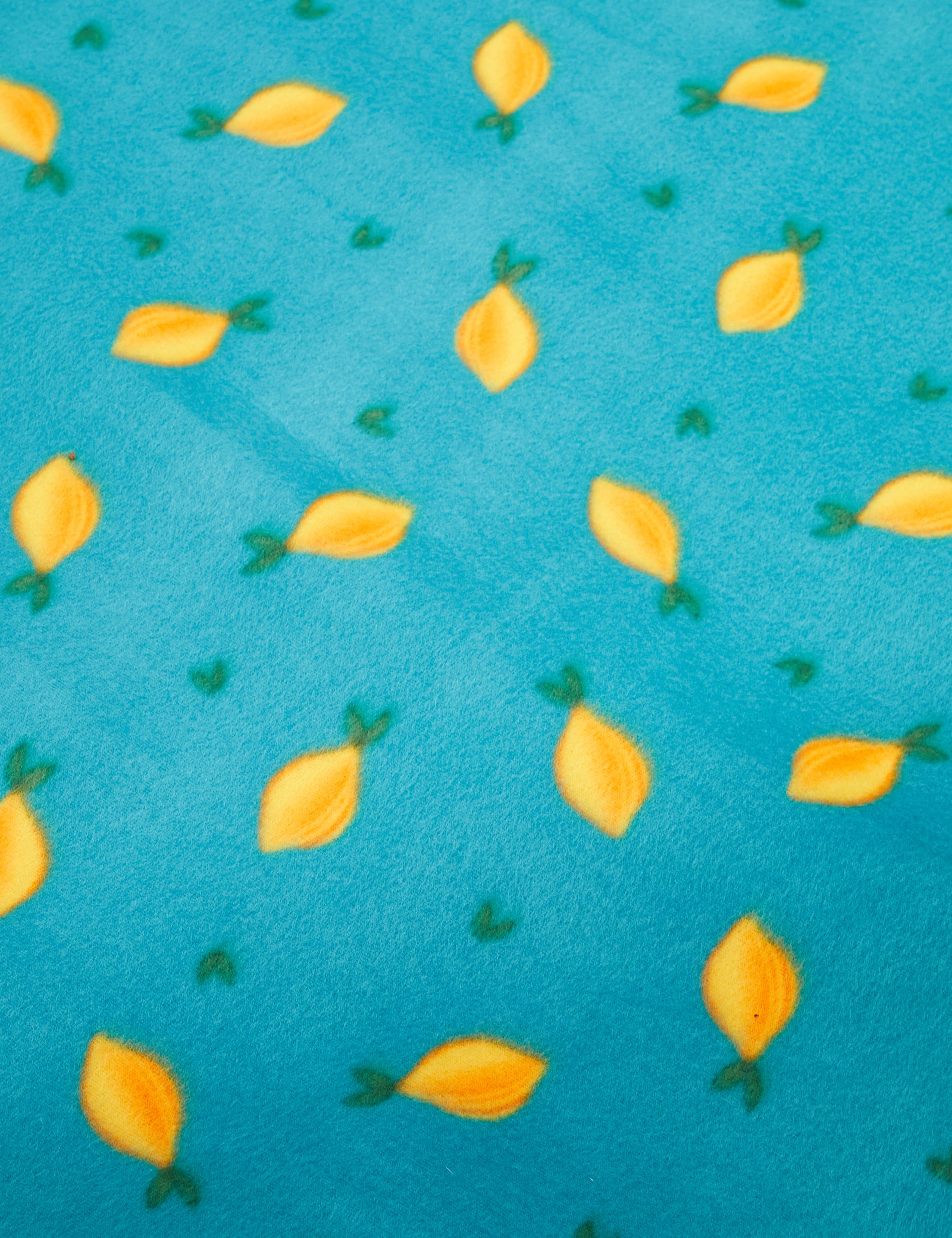 Lemon Picnic Blanket 3 of 4