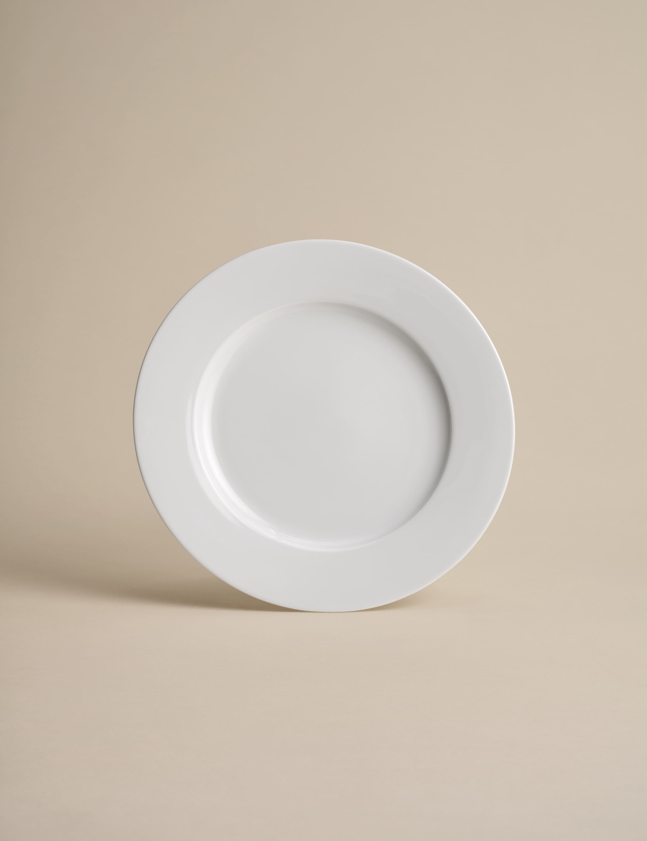 Set of 4 Maxim Dinner Plates 2 of 4