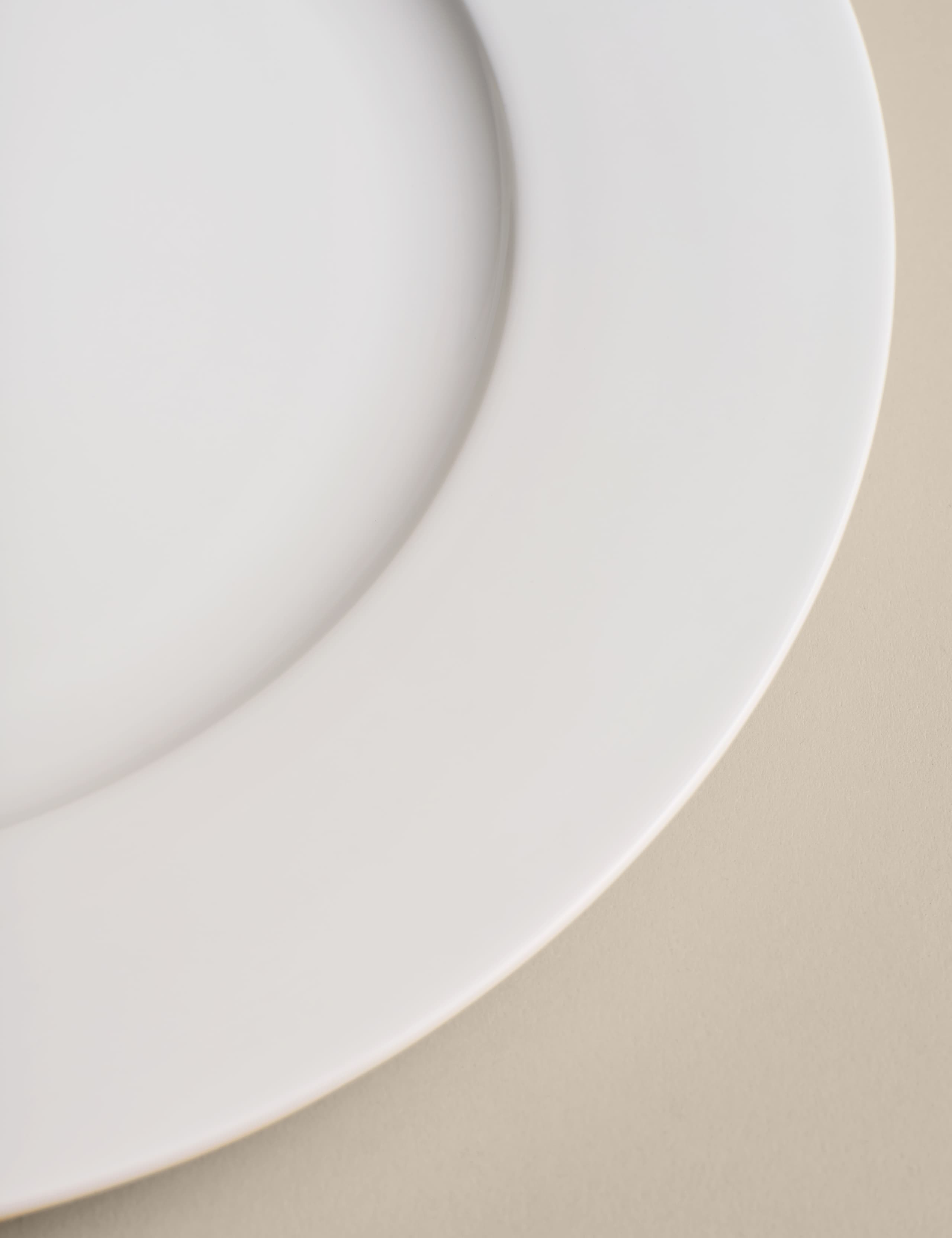 Set of 4 Maxim Dinner Plates 3 of 4