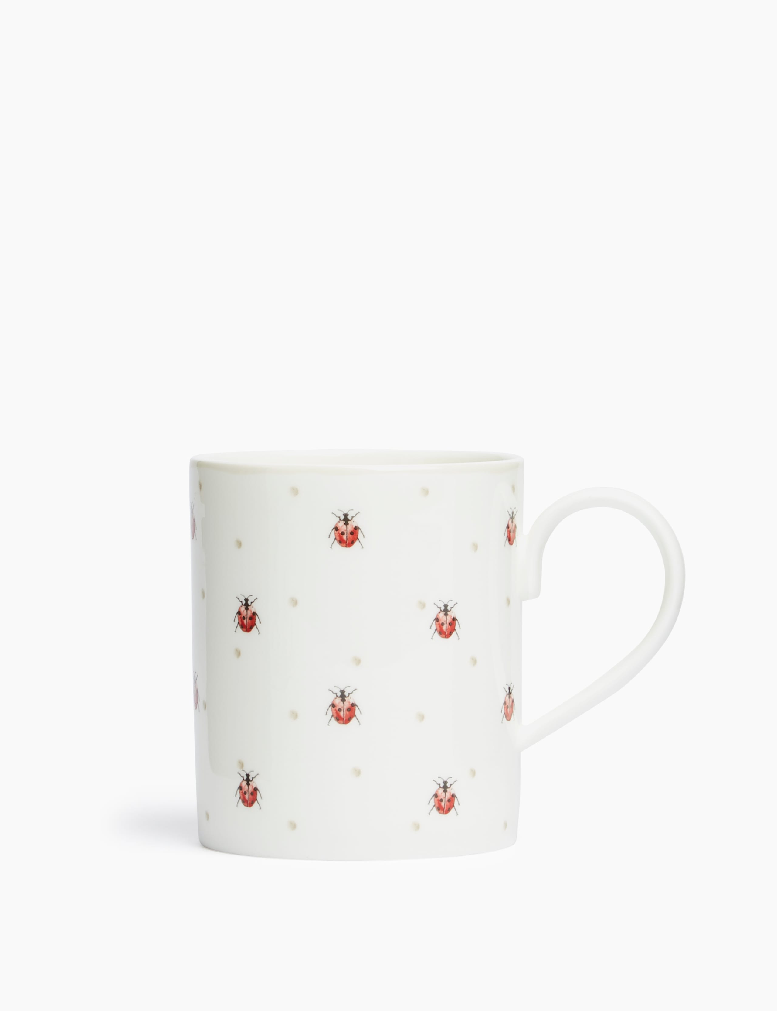 Ladybird Mug 1 of 4