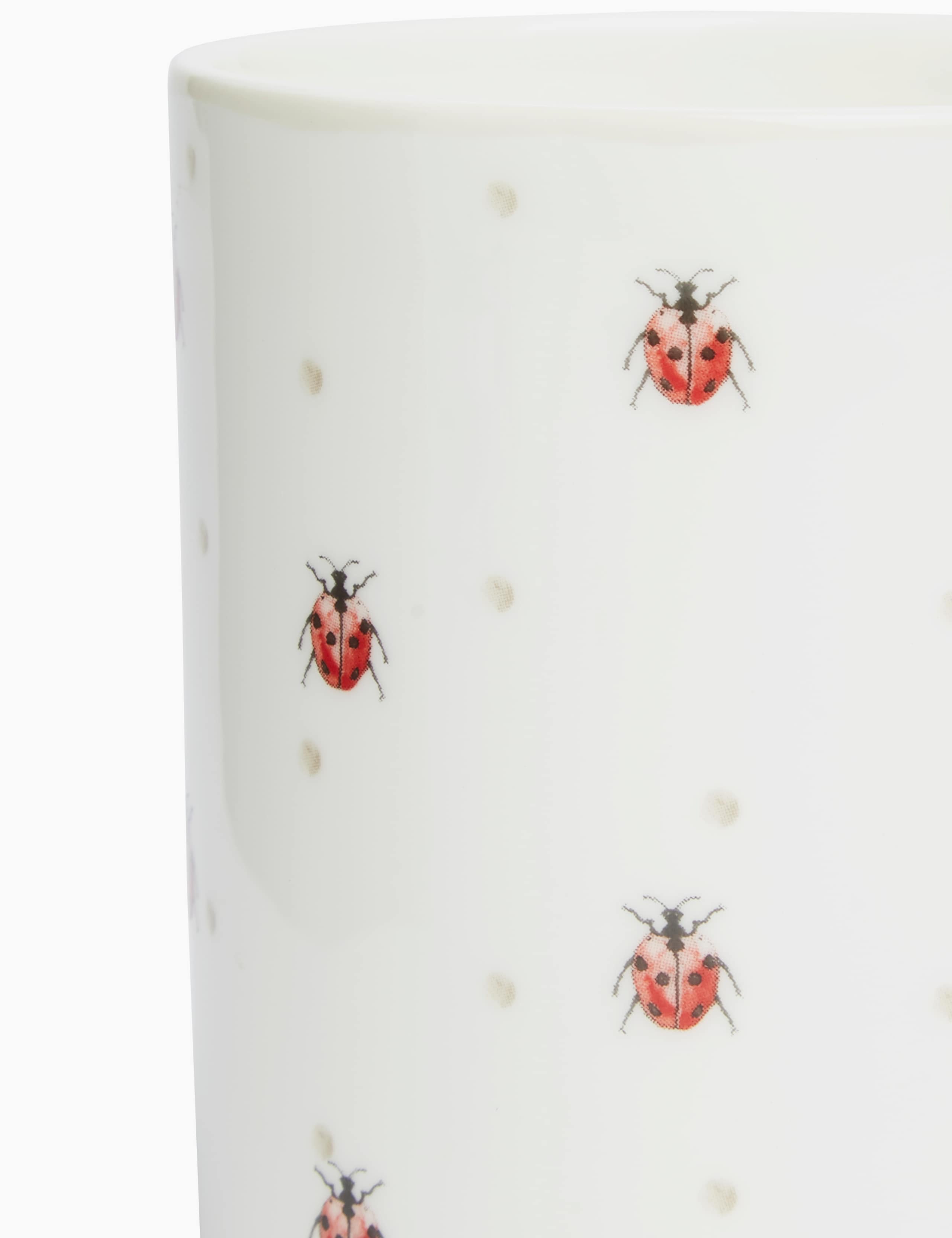 Ladybird Mug 2 of 4